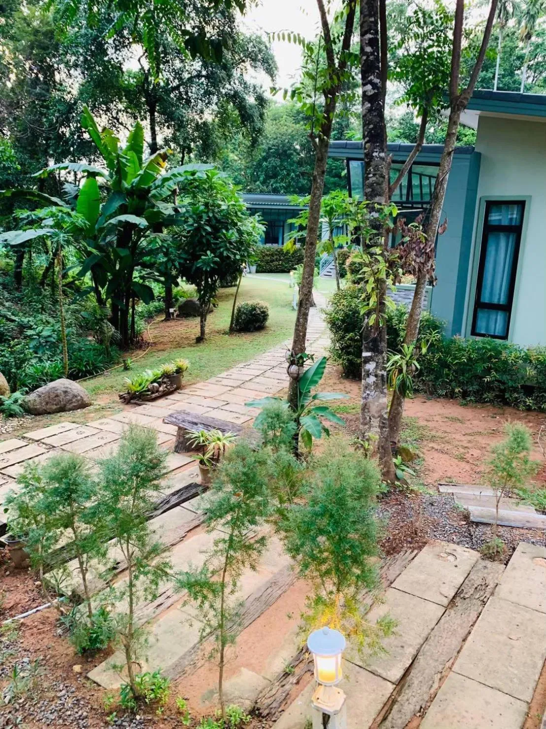 Garden view in Snapper House