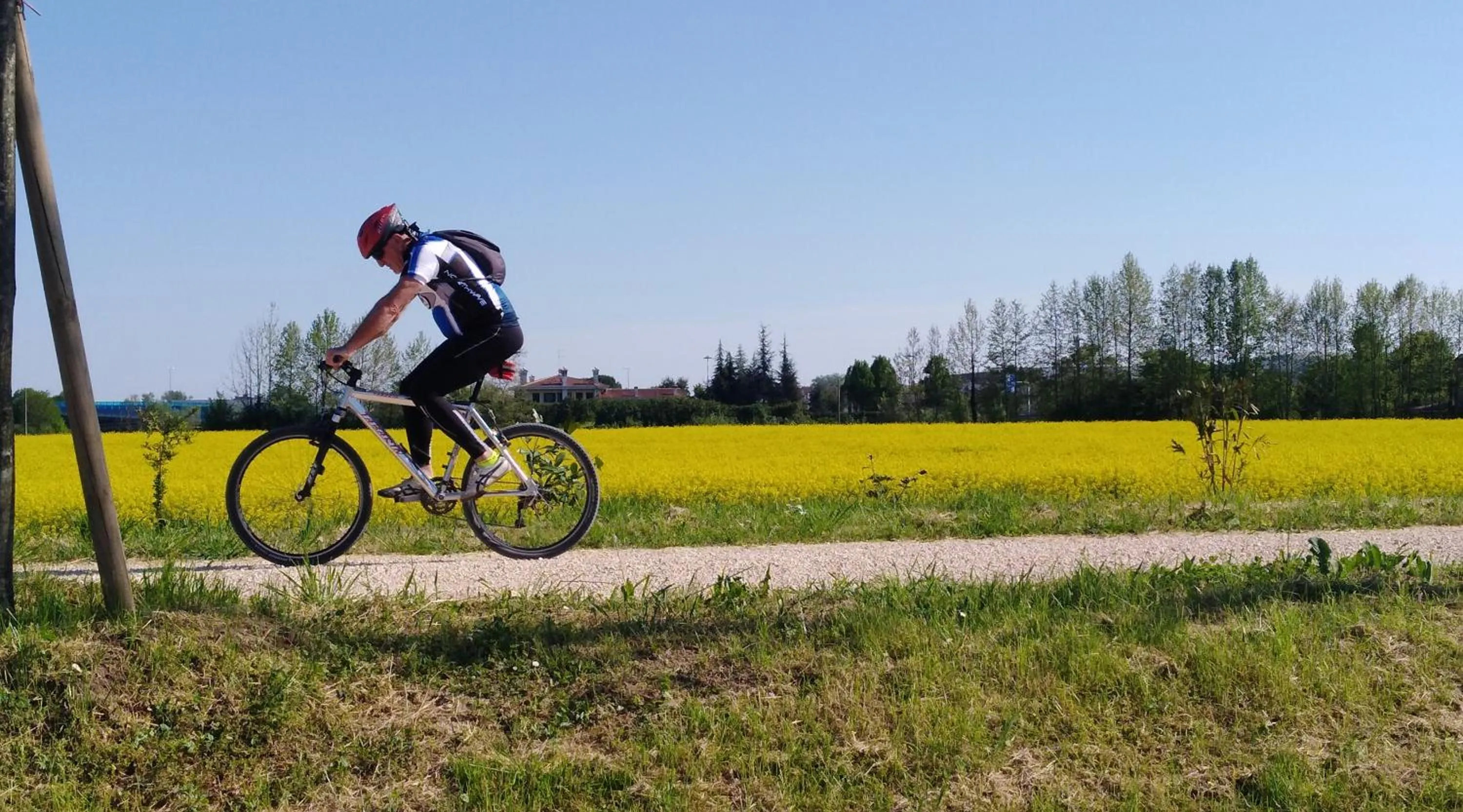 Cycling in Sunset View Treviso Apartment