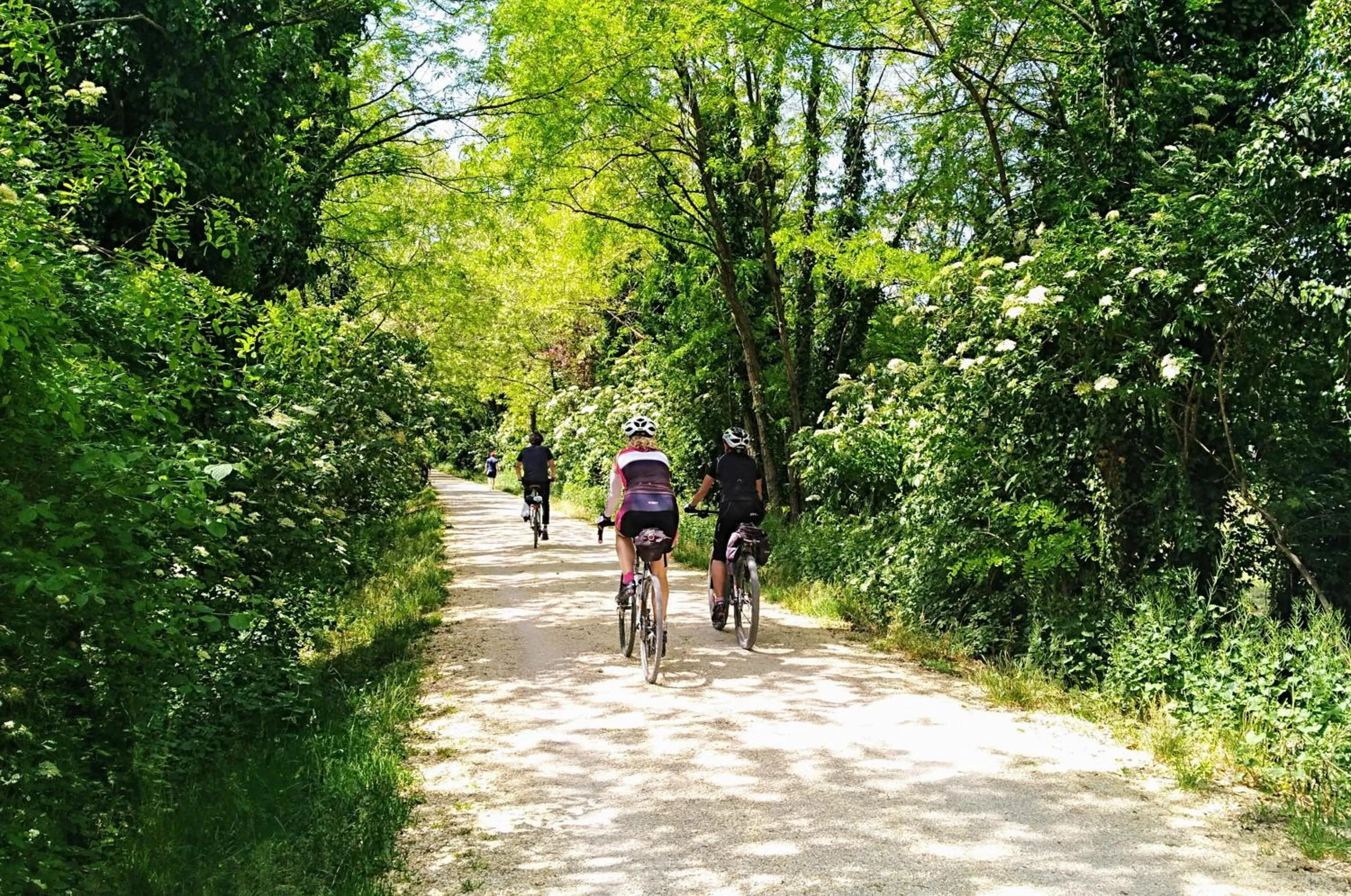 Cycling in Sunset View Treviso Apartment