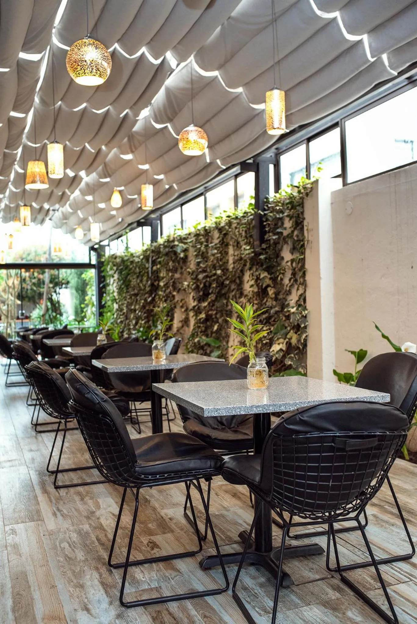 Restaurant/places to eat in Hotel Mitru Sur