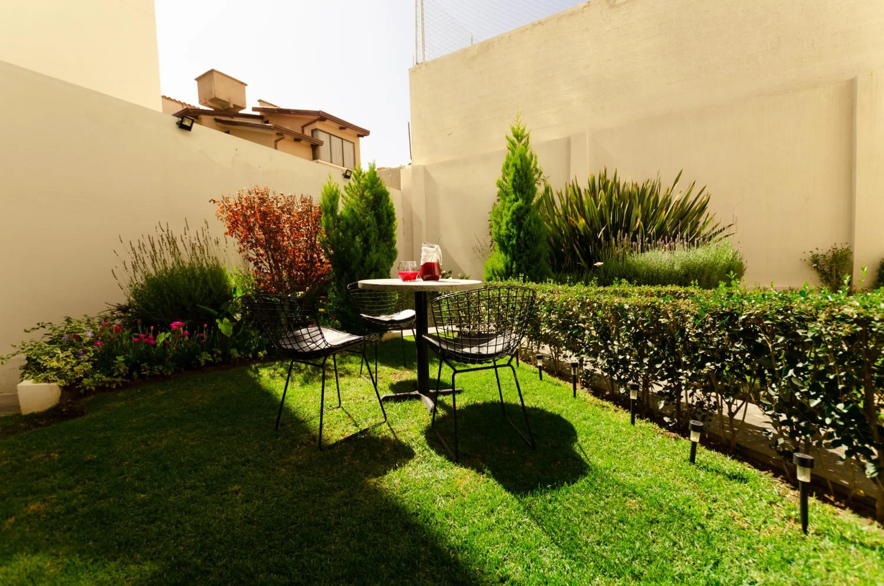 Garden in Hotel Mitru Sur