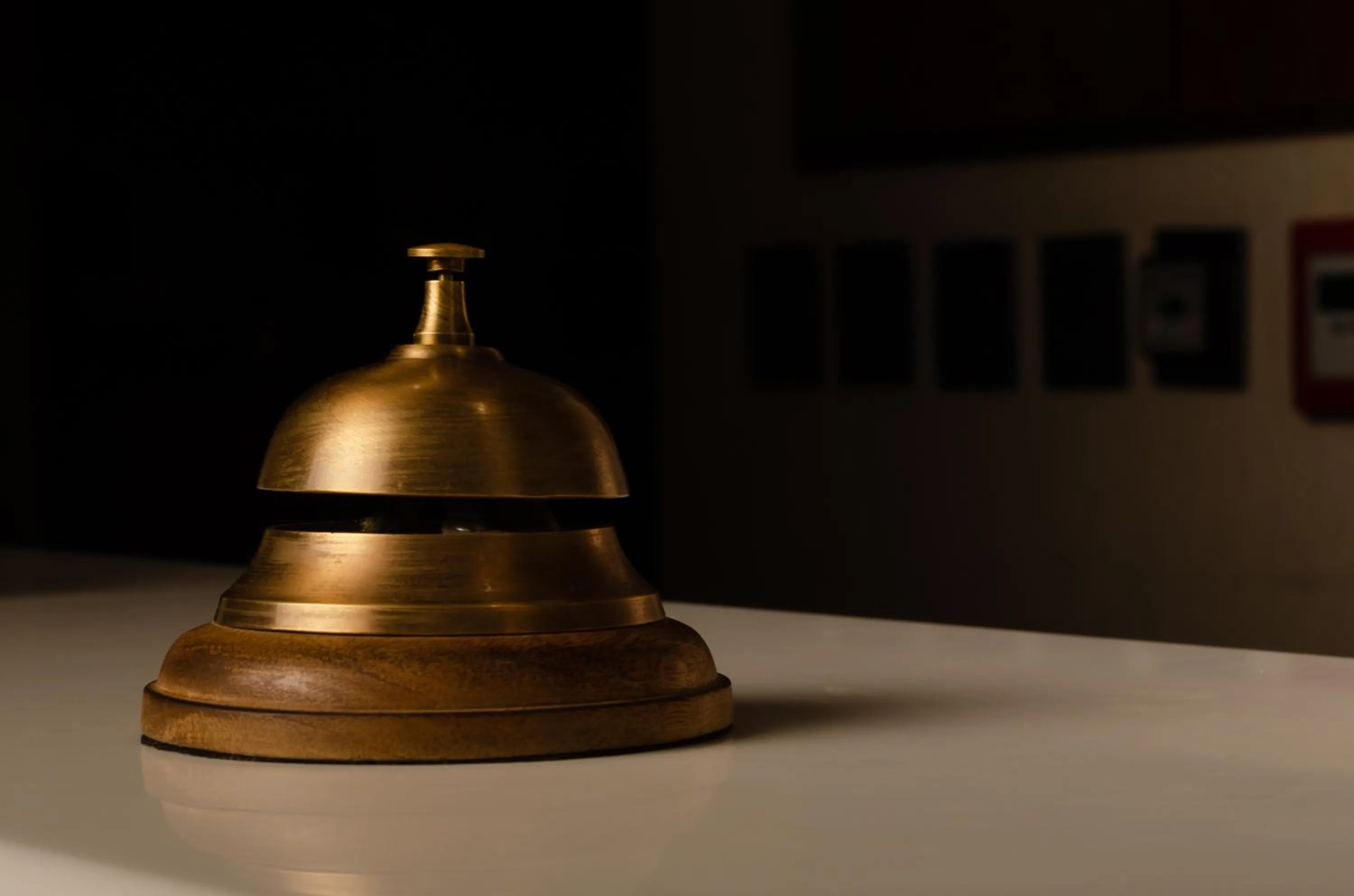 Decorative detail in Hotel Mitru Sur