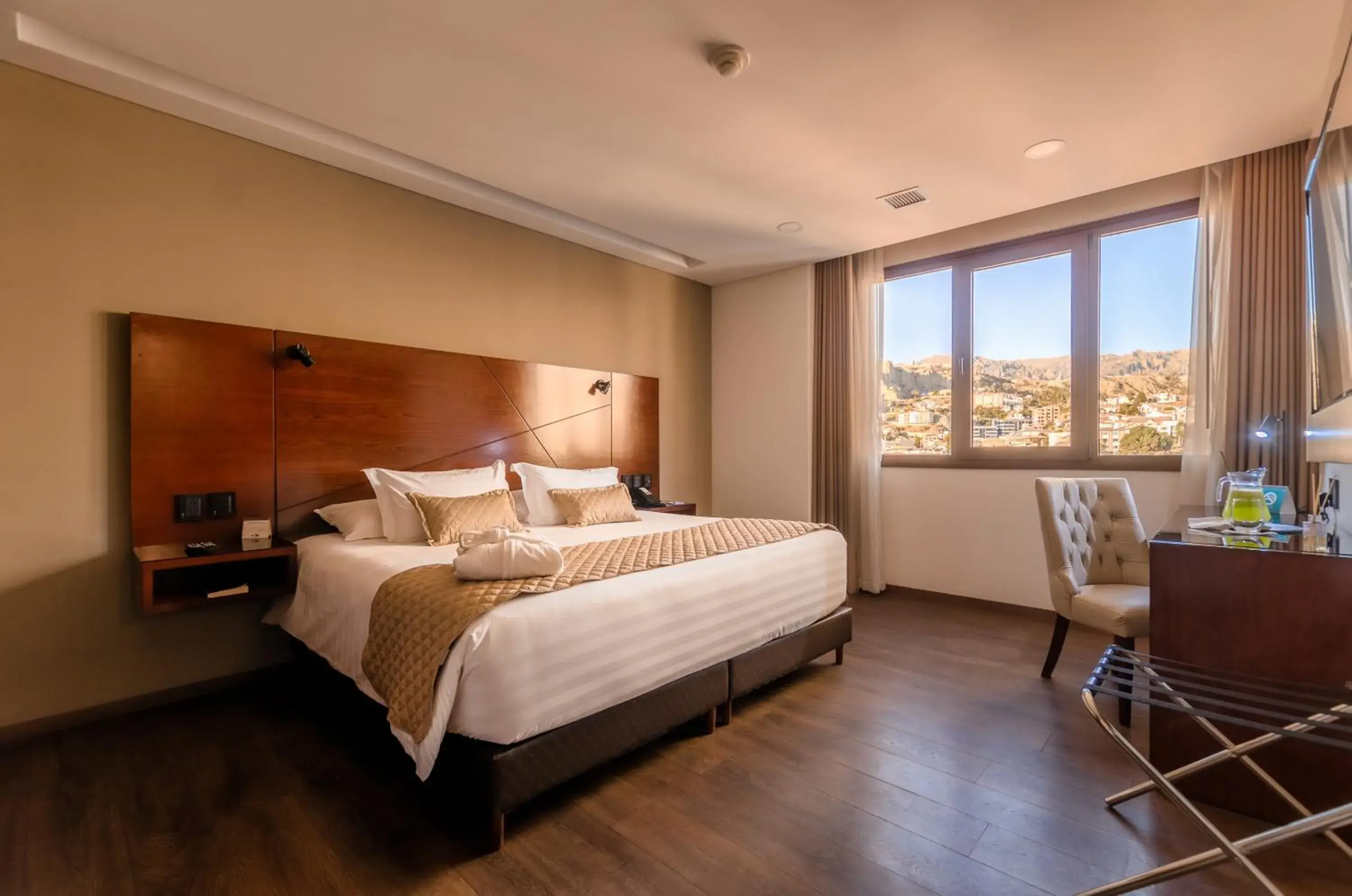 Presidential Suite - single occupancy in Hotel Mitru Sur Presidential Suite - single occupancy in Hotel Mitru Sur