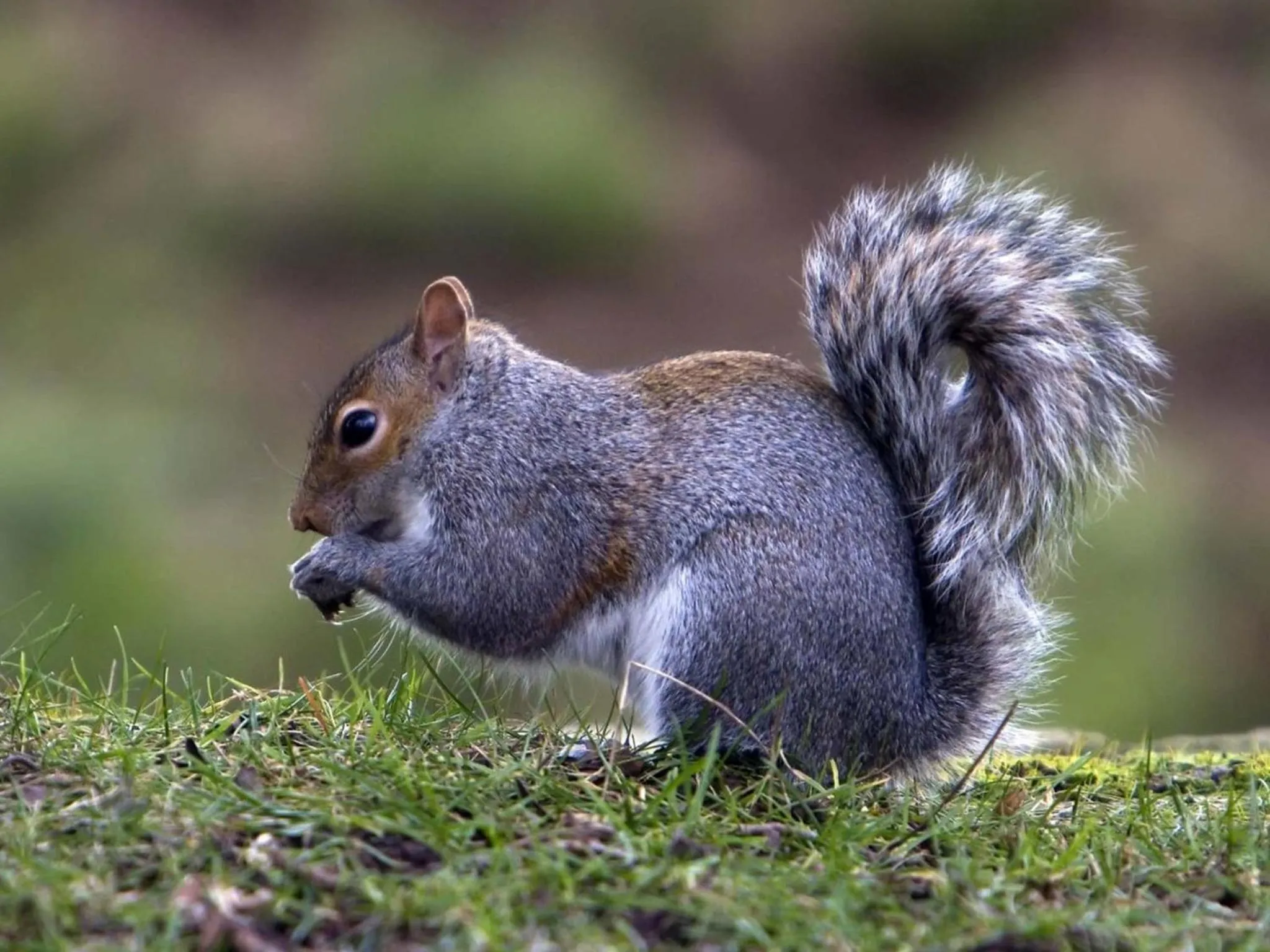 Garden in Pousada Cantinho das Estrelas