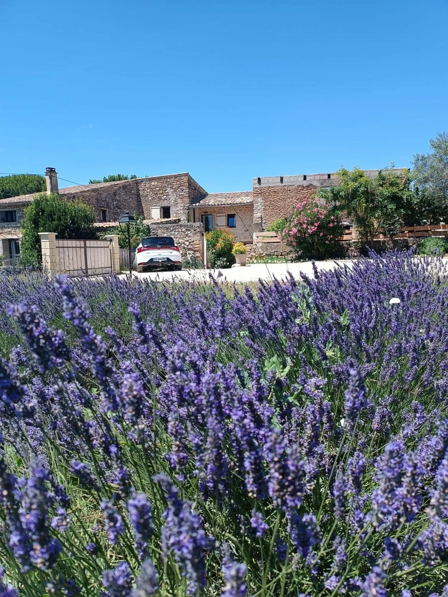 Property building in Mas de l'Amme