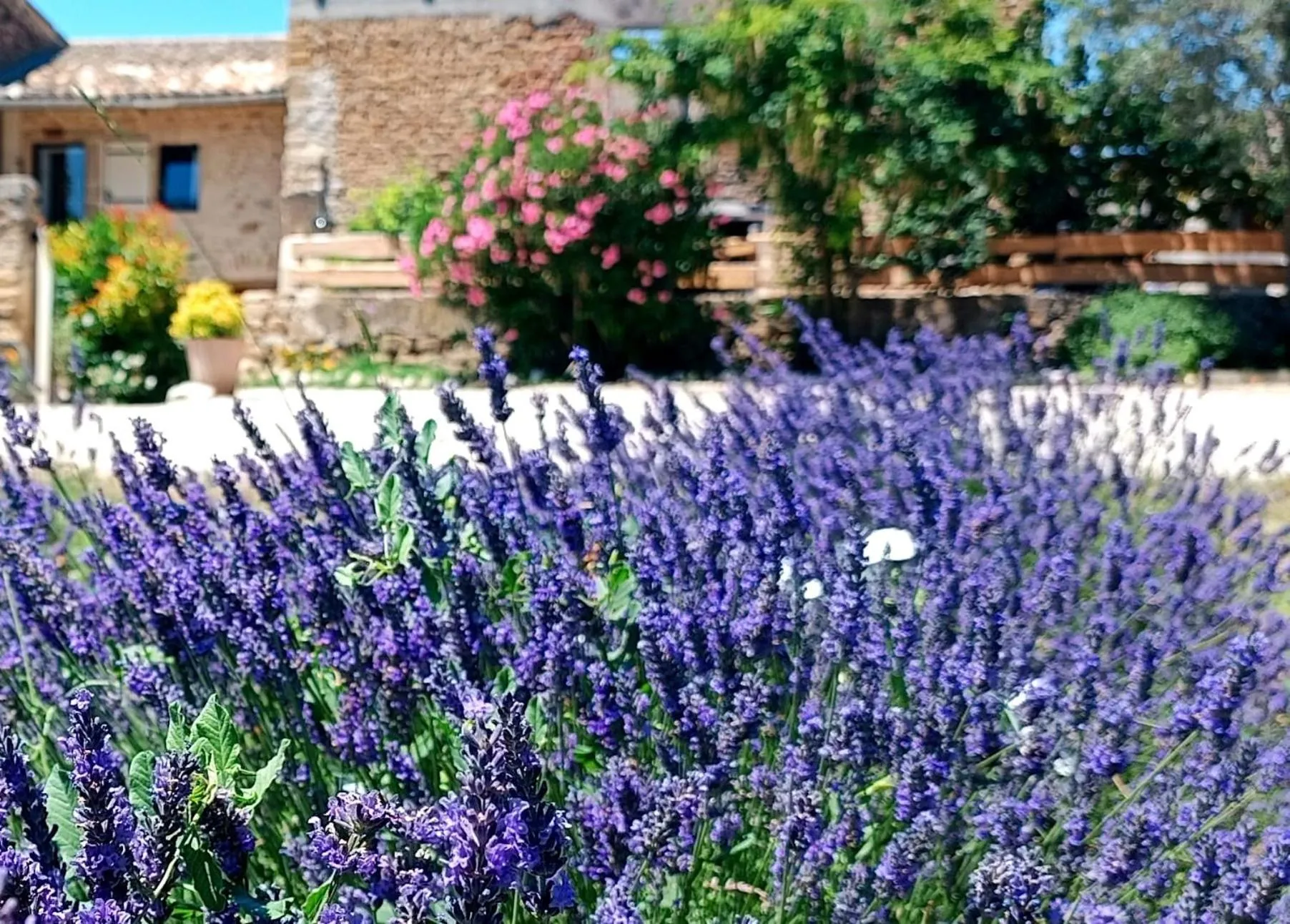 Property building in Mas de l'Amme