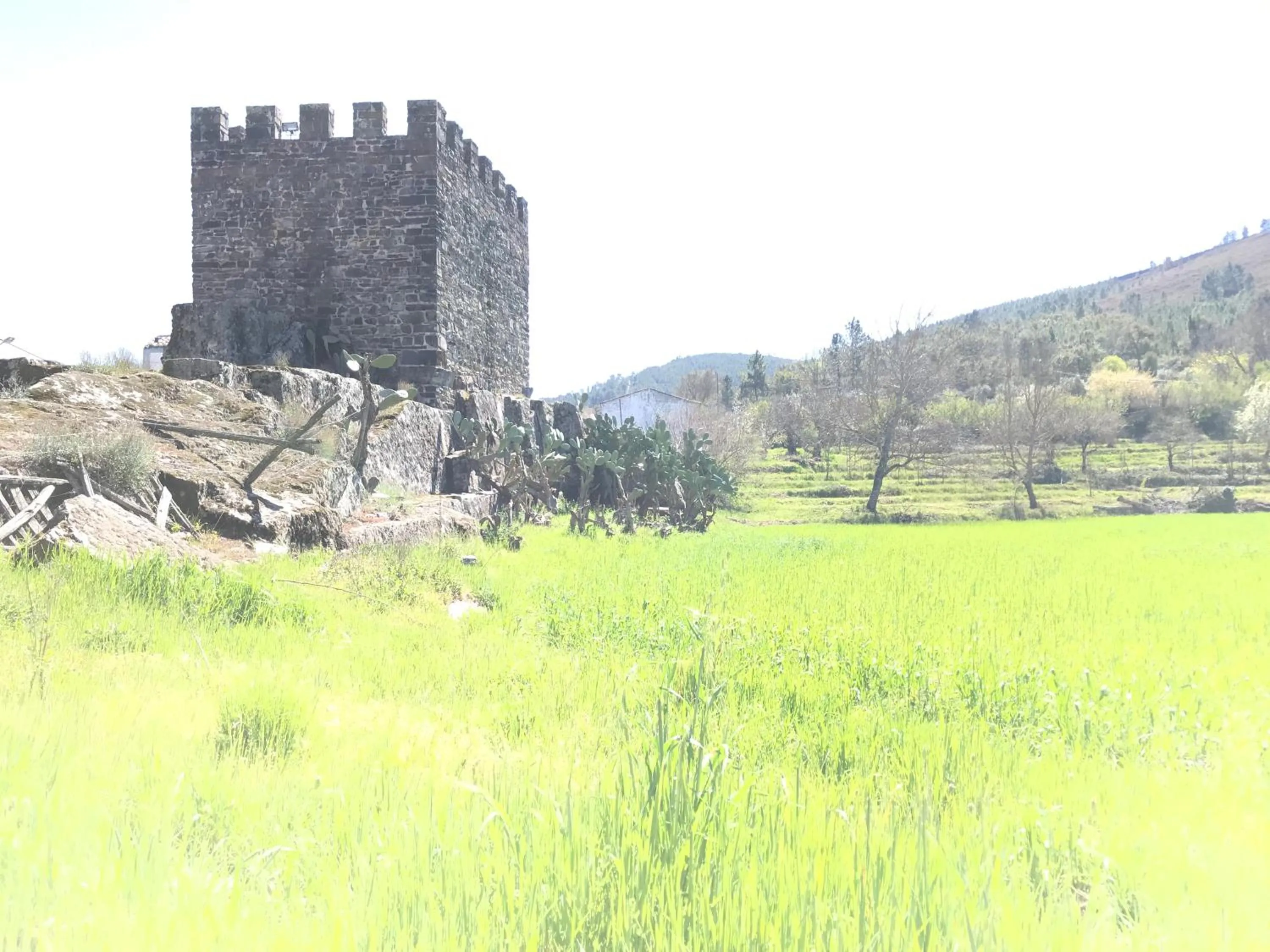 Nearby landmark in Hotel El Rei Dom Manuel