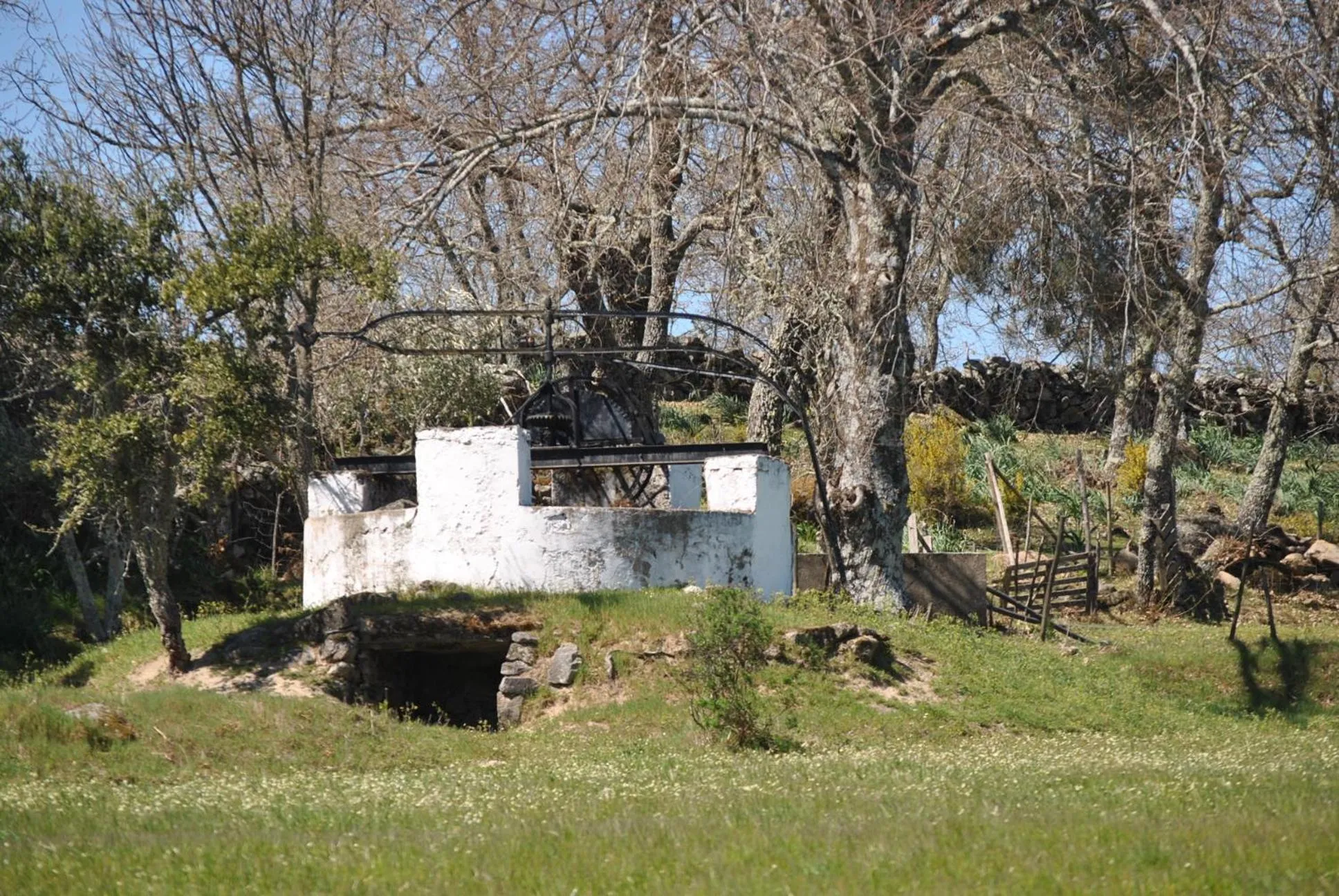 Natural landscape in Hotel El Rei Dom Manuel
