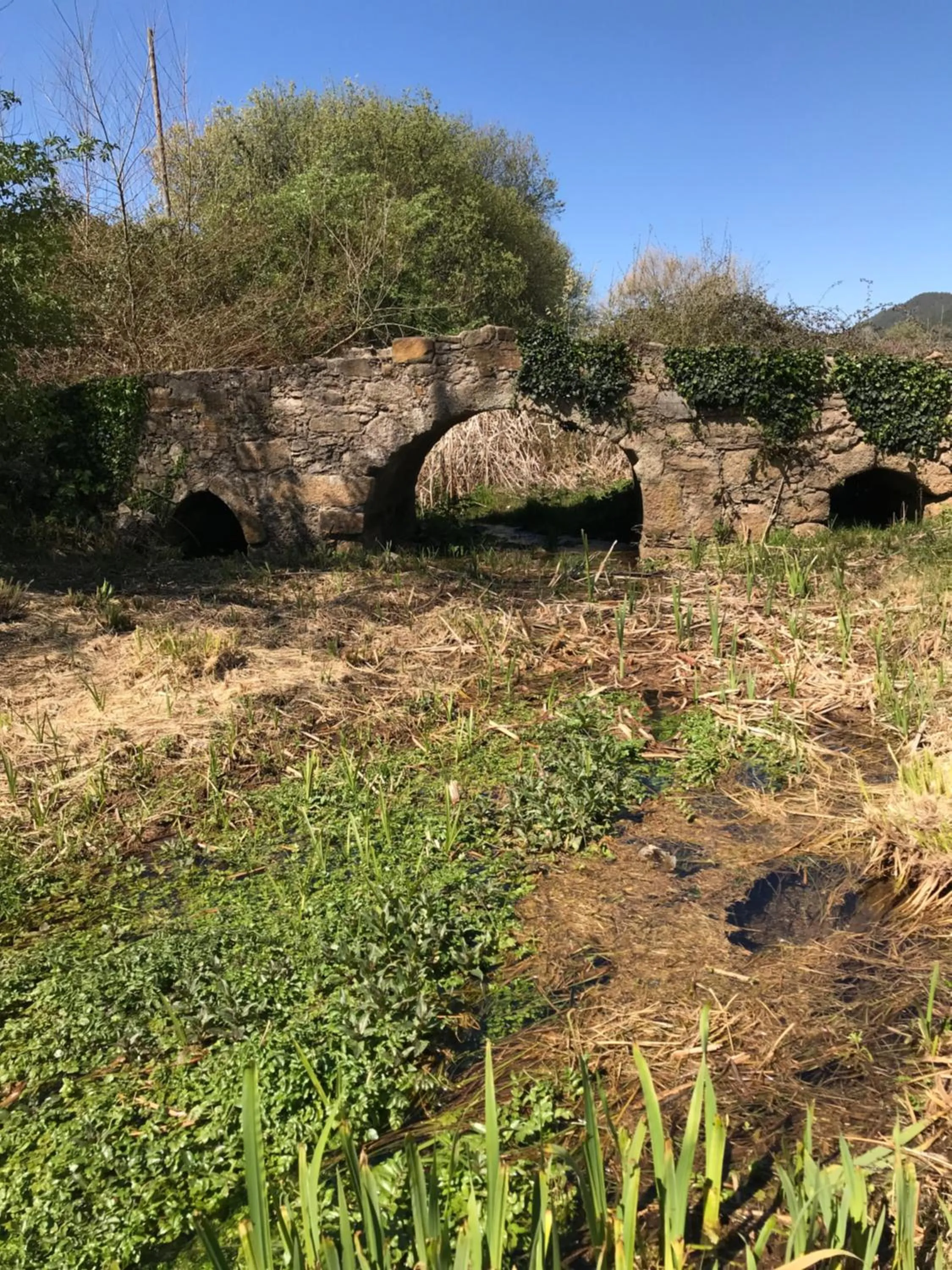 Natural landscape in Hotel El Rei Dom Manuel