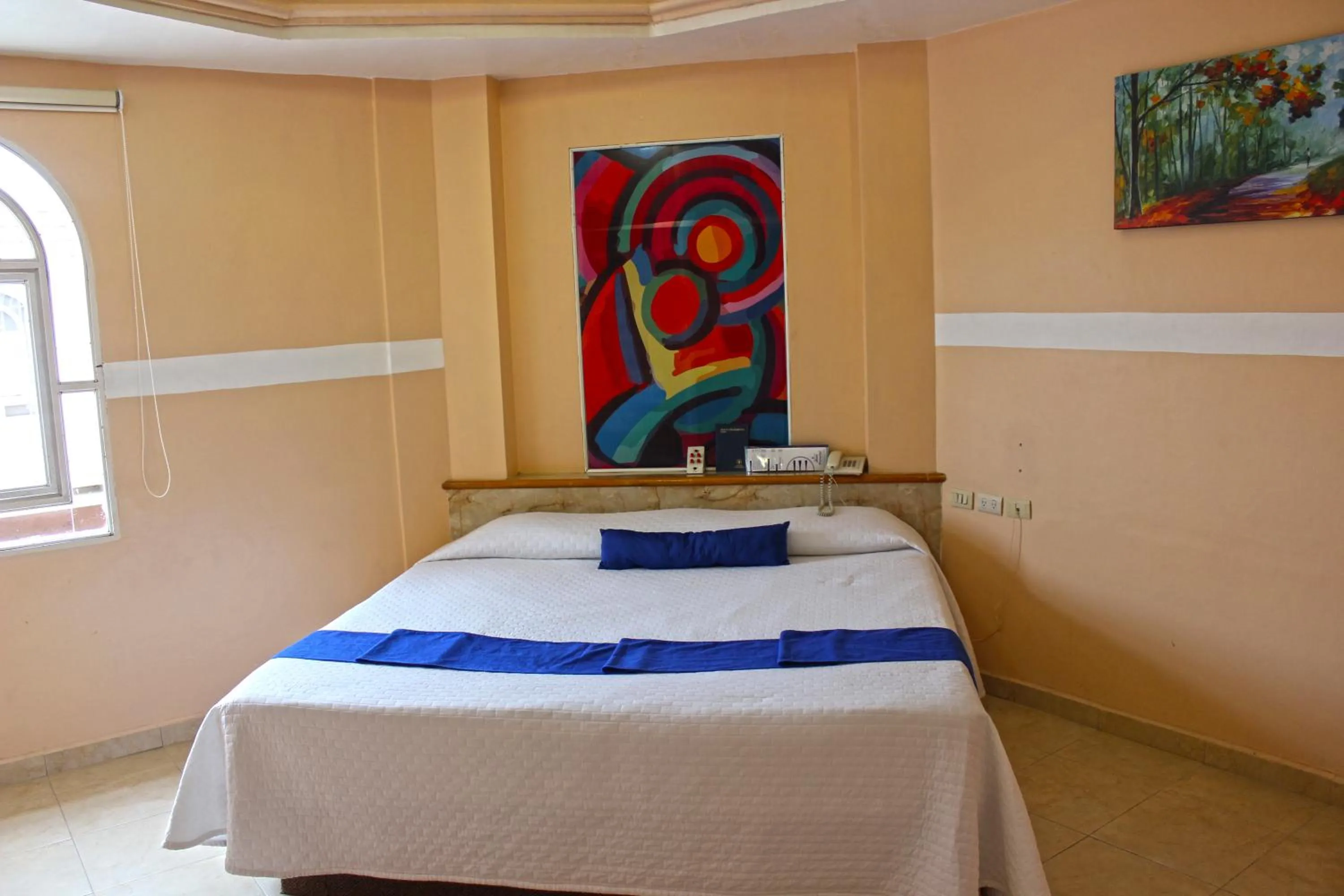 Bed in Hotel Express Alejandría