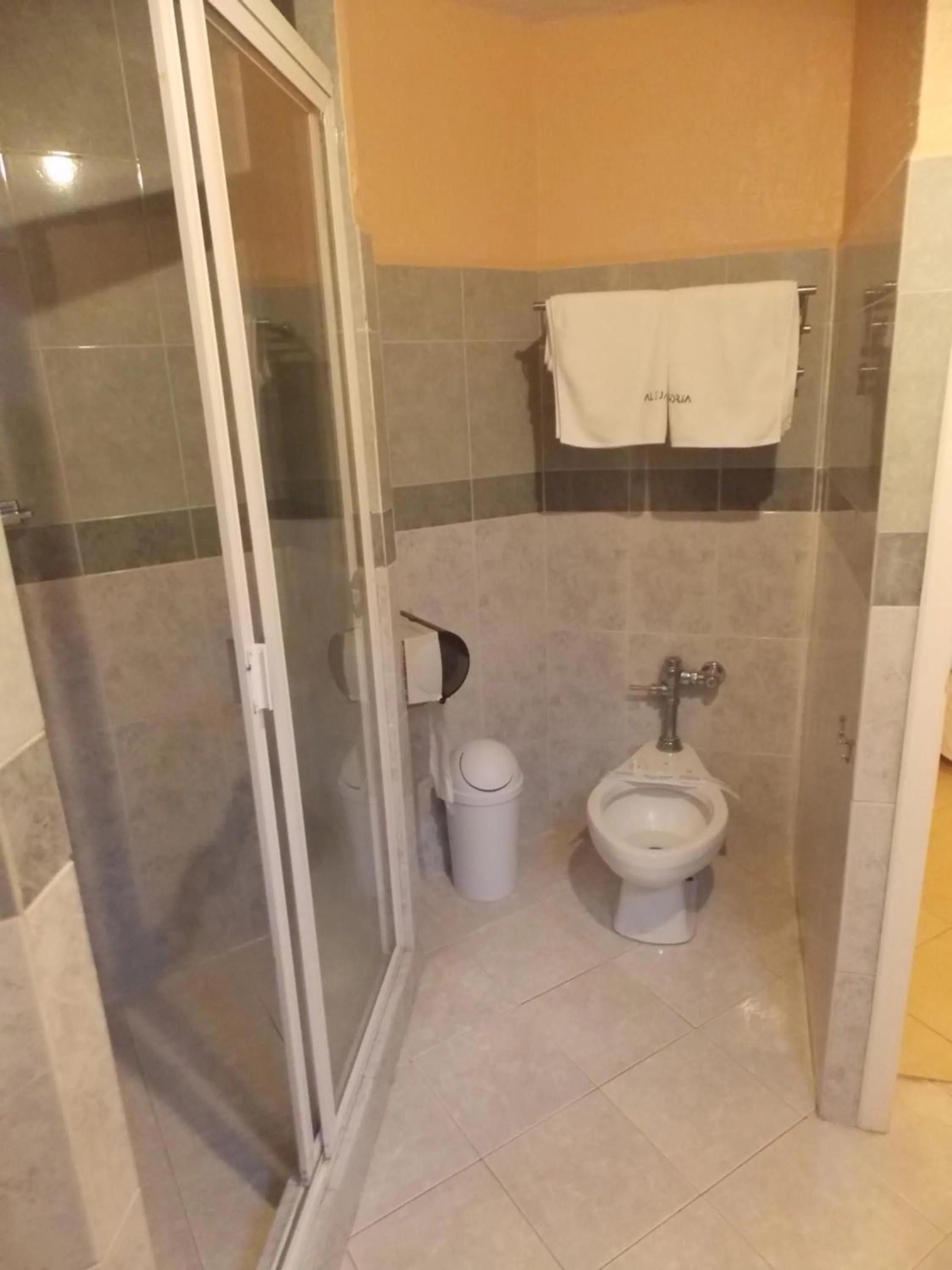 Bathroom in Hotel Express Alejandría