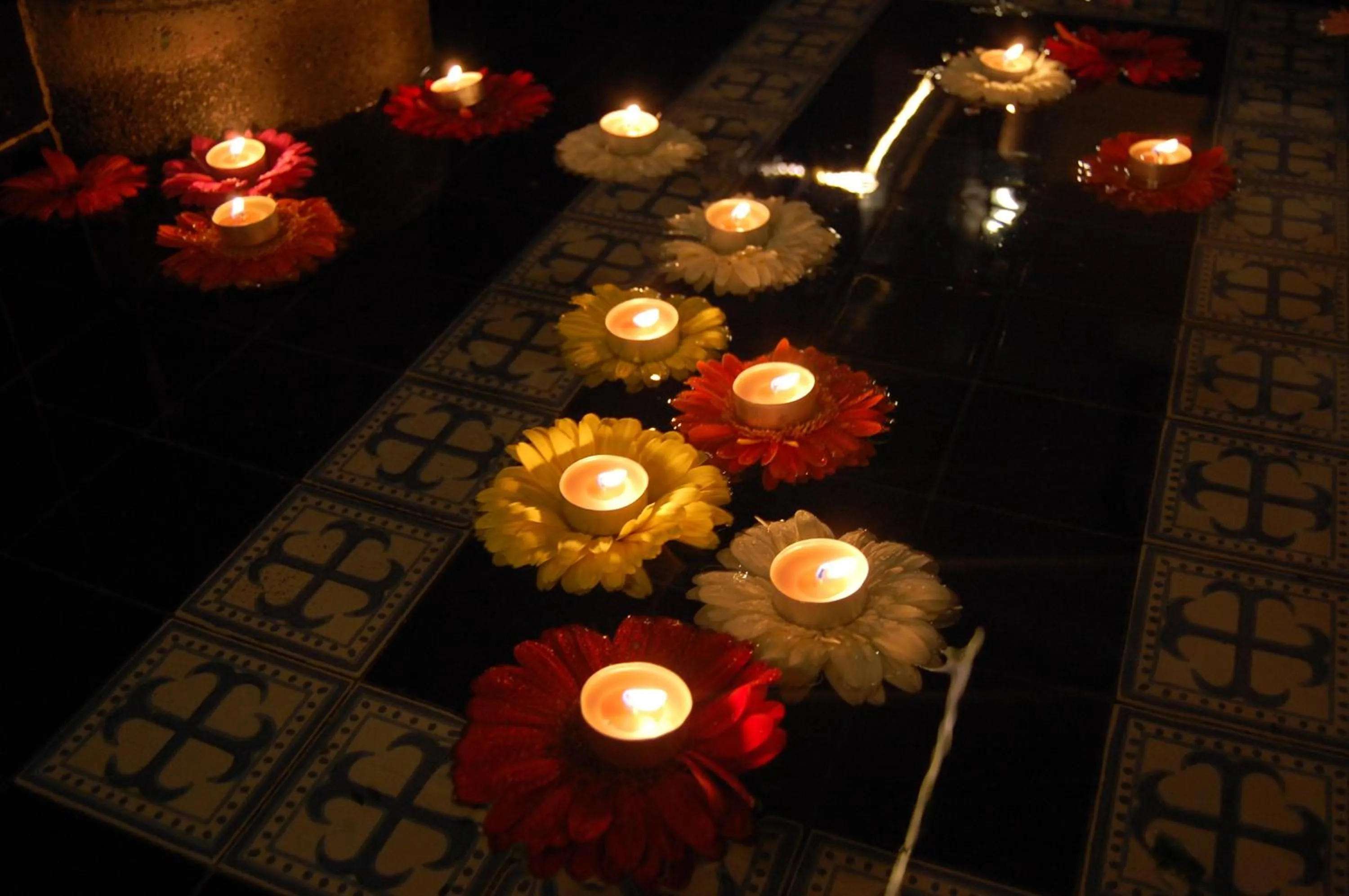 Garden view in Hotel Express Alejandría