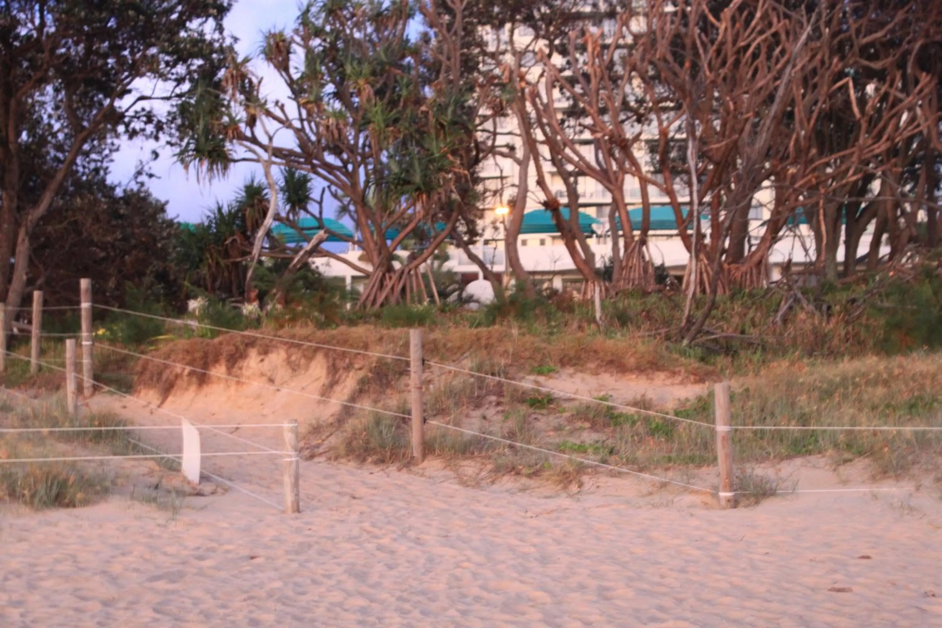 Day in Camargue Beachfront Apartments