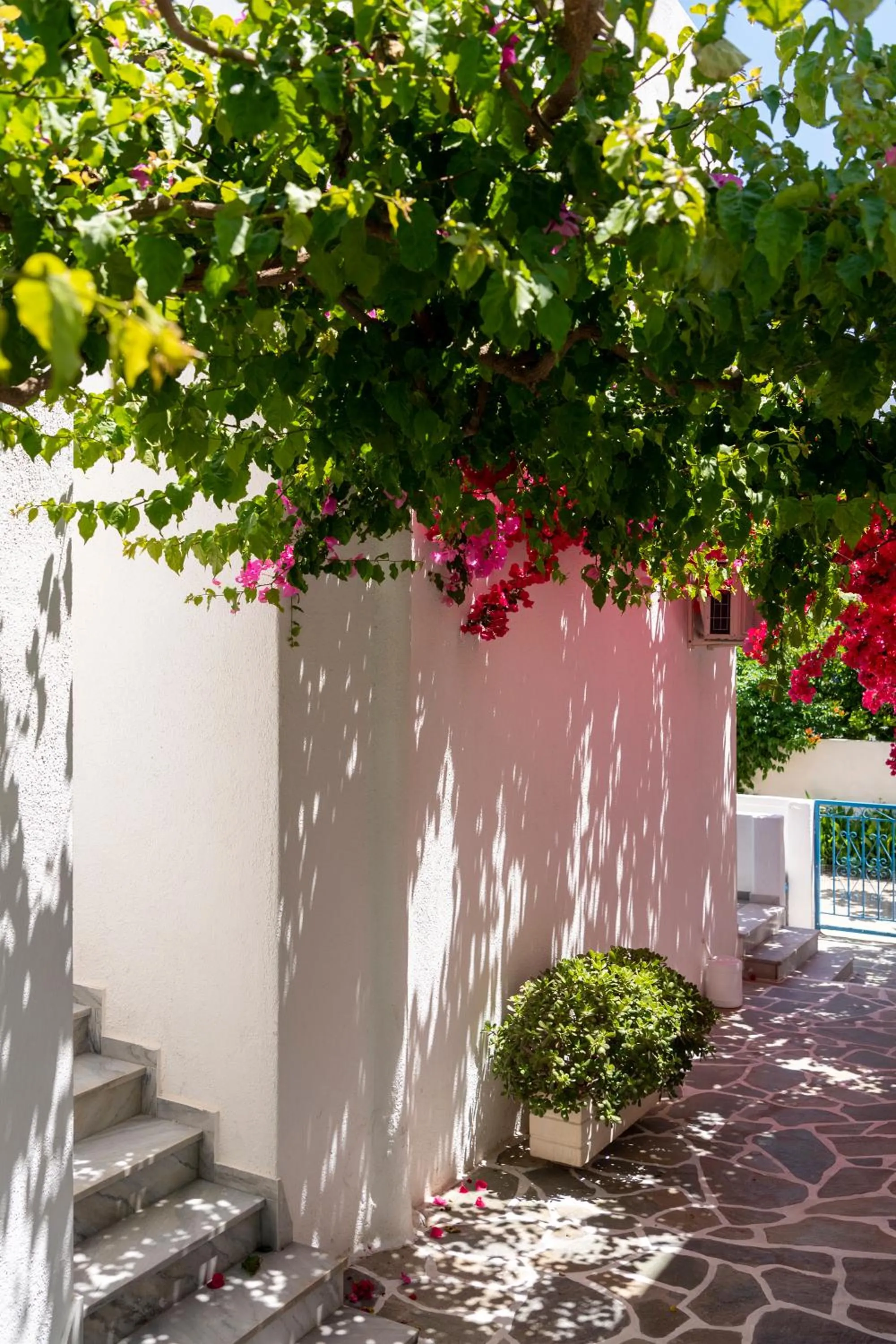 Patio in Ayeri Hotel
