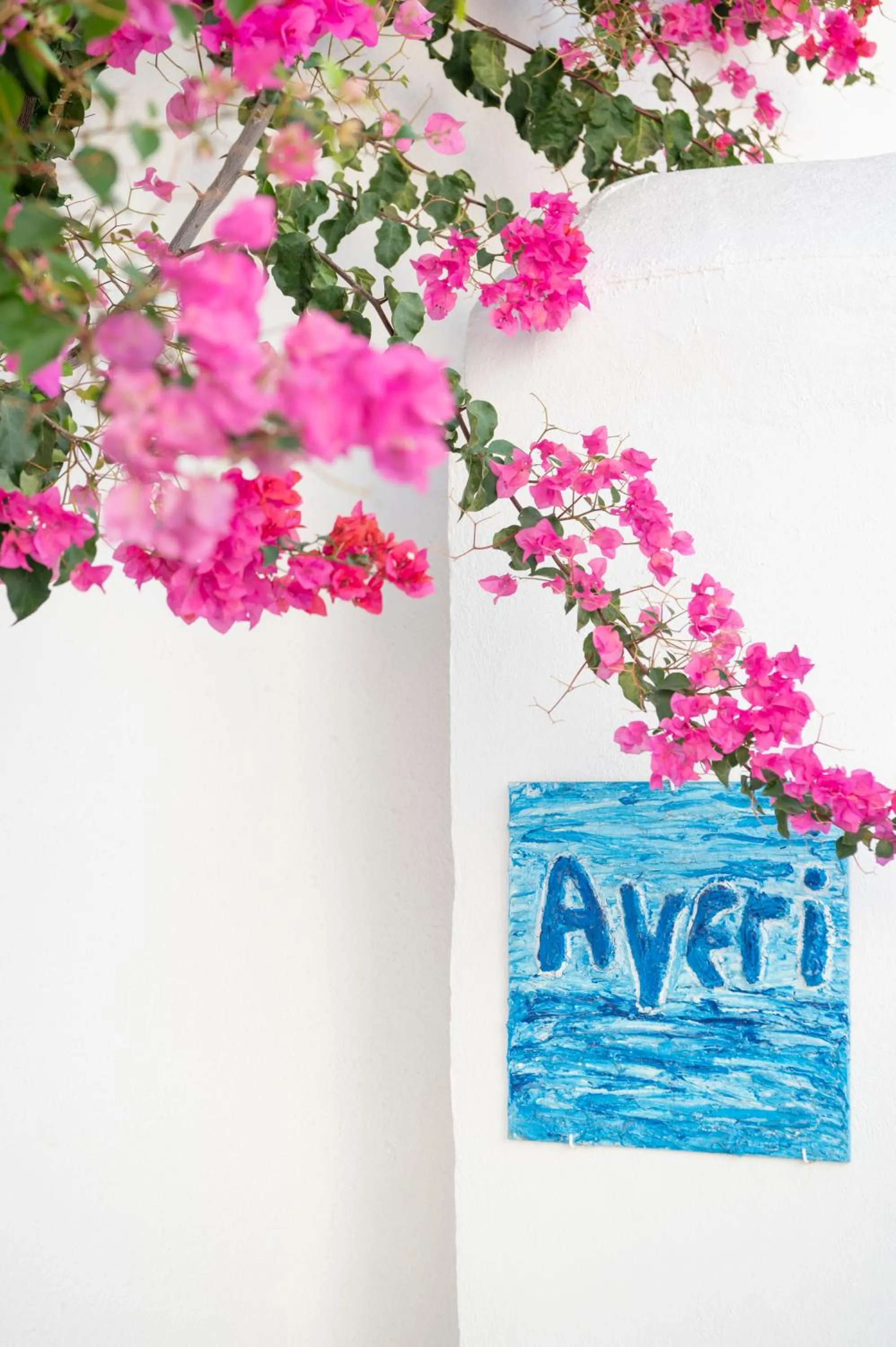 Garden in Ayeri Hotel