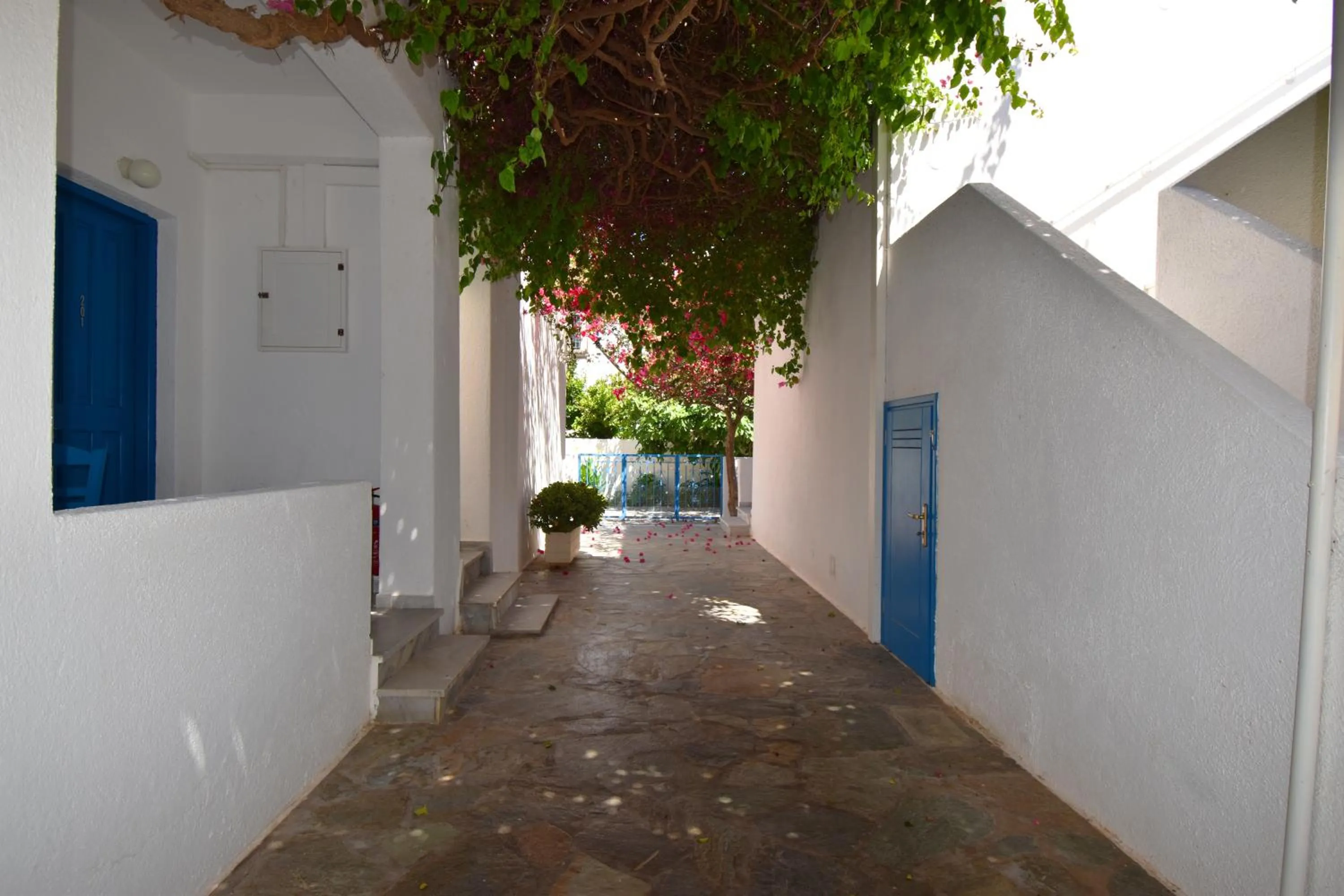 Patio in Ayeri Hotel