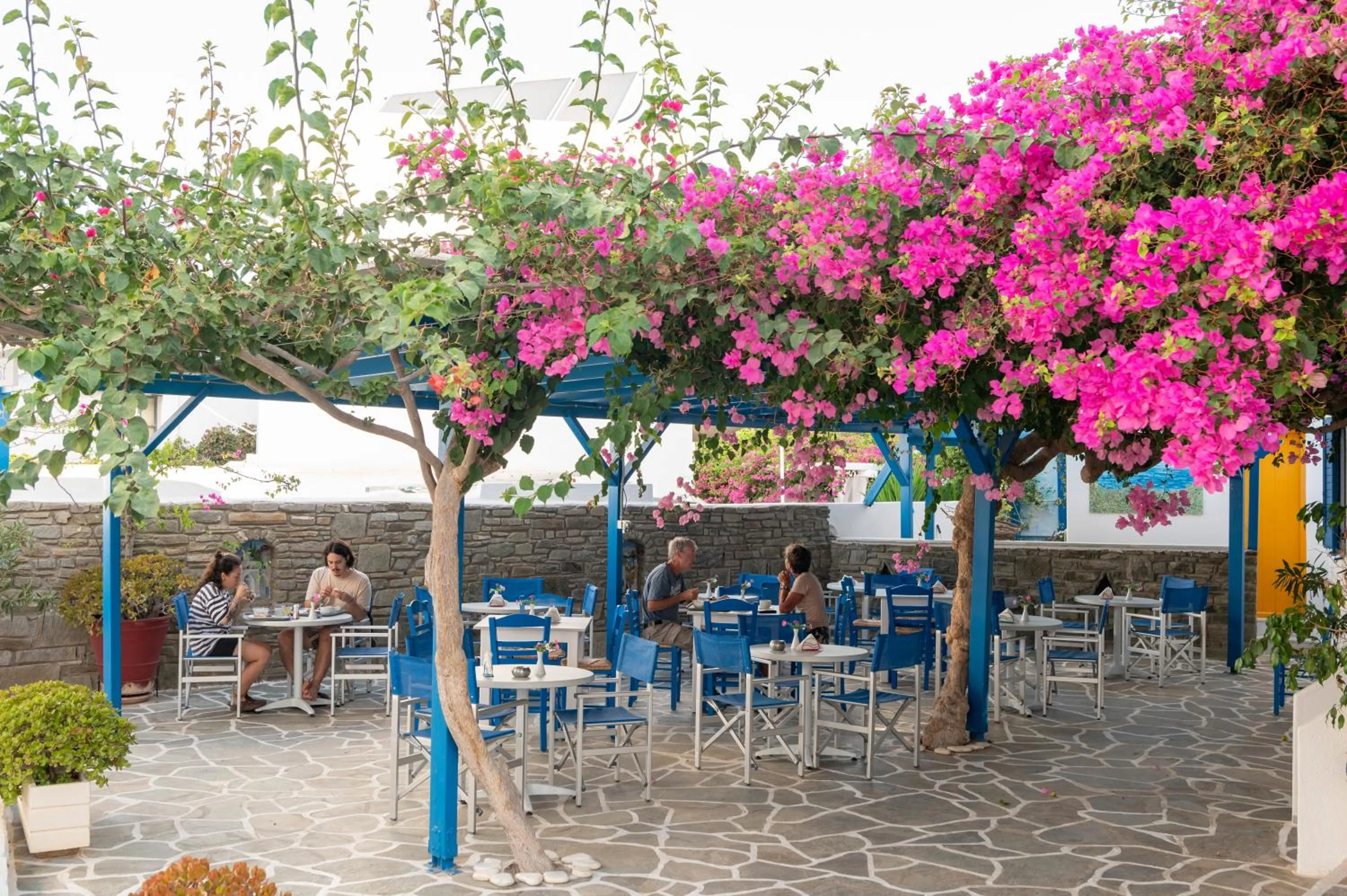 Garden in Ayeri Hotel