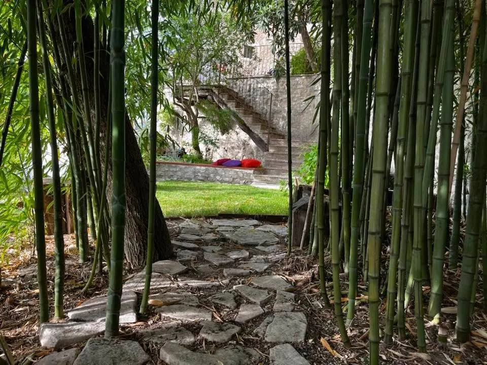 Day in Borgo San Valentino