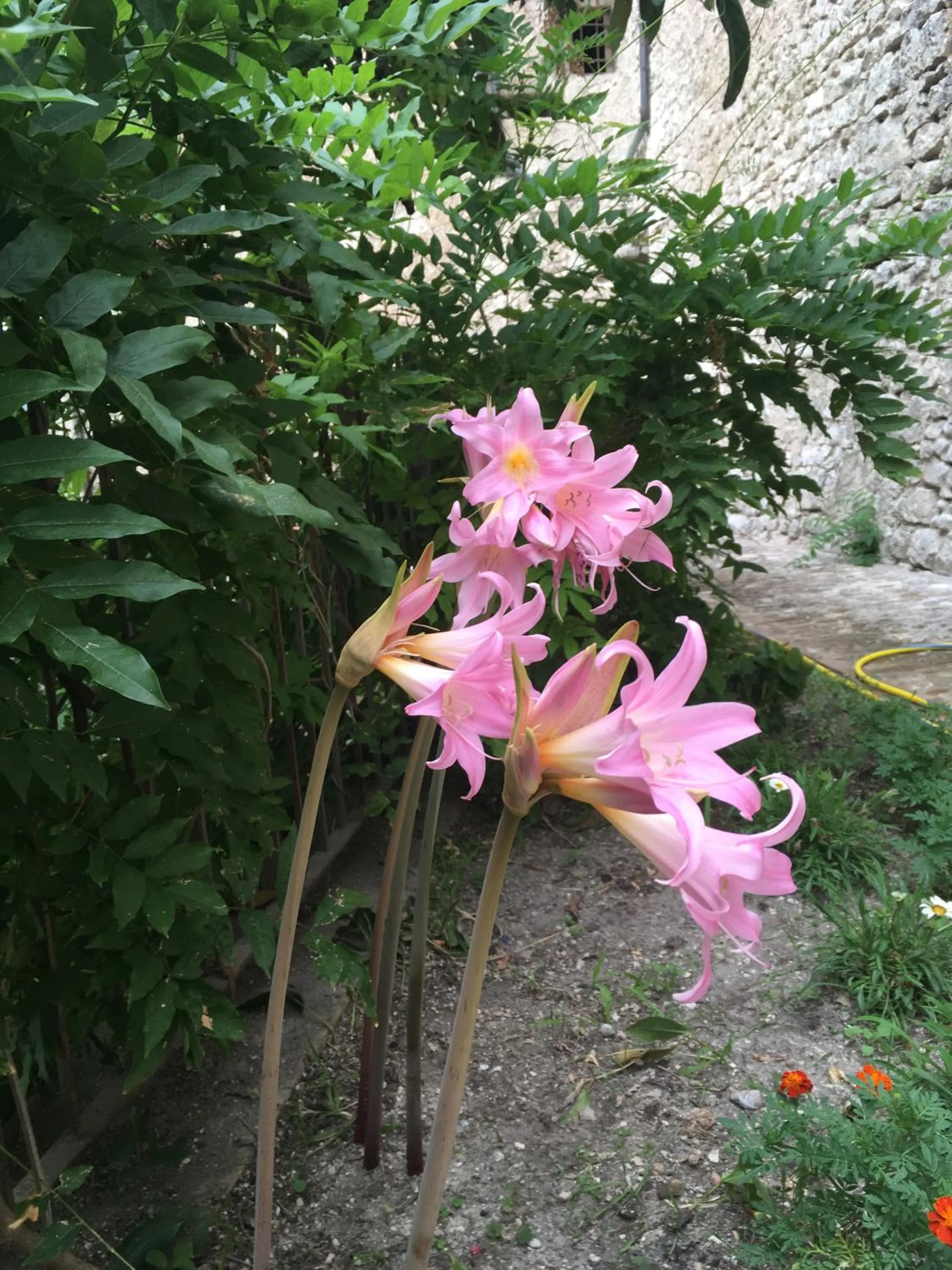 Spring in Borgo San Valentino