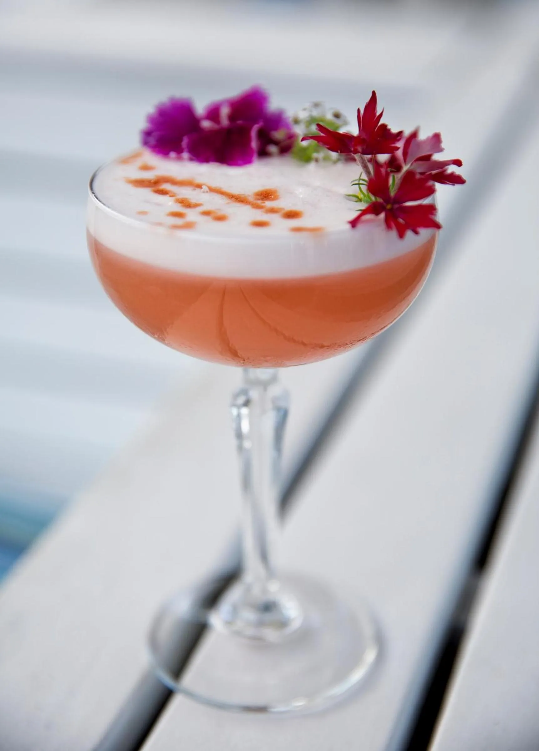 Lounge or bar in Coogee Bay Hotel