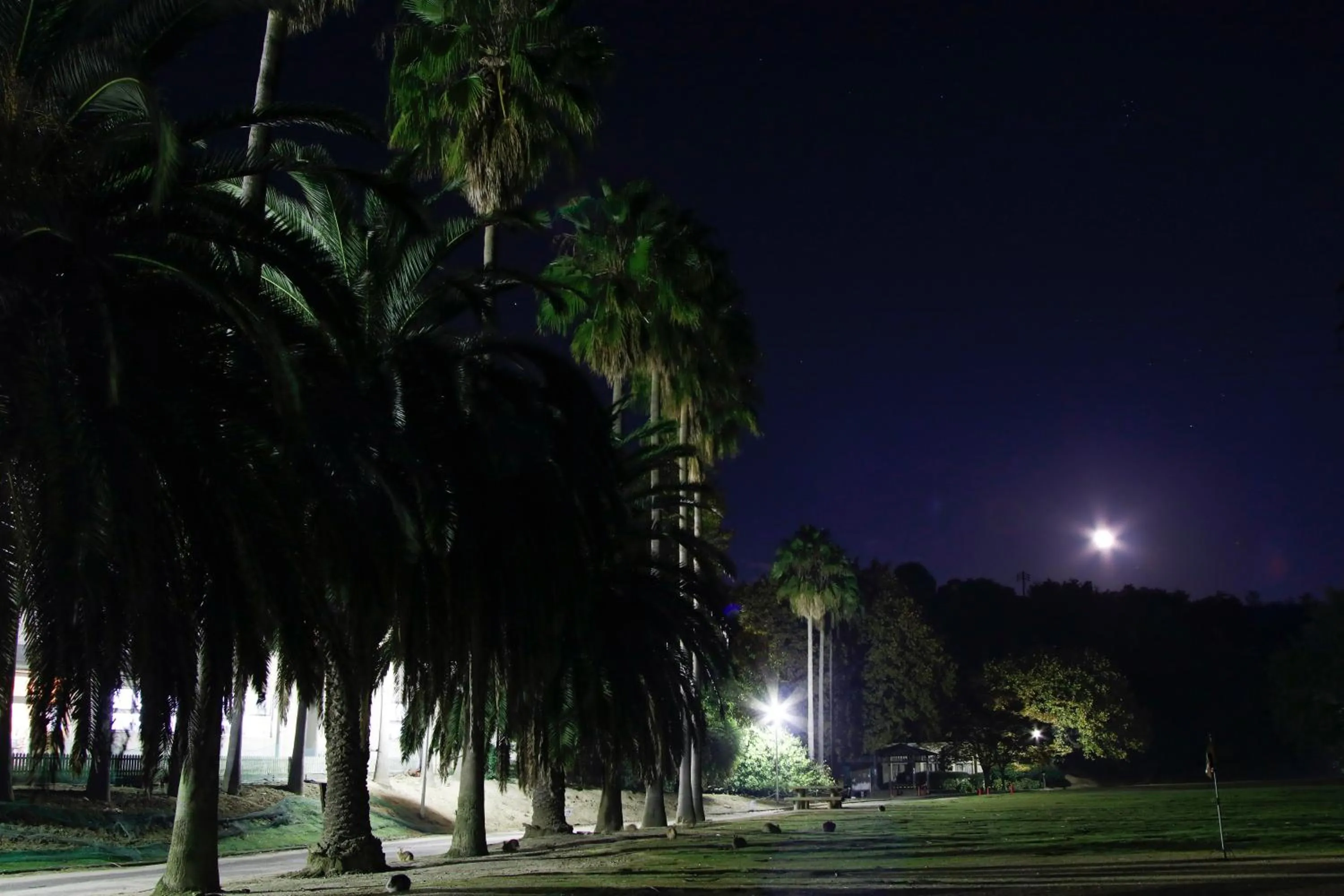 Kyukamura Ohkunoshima