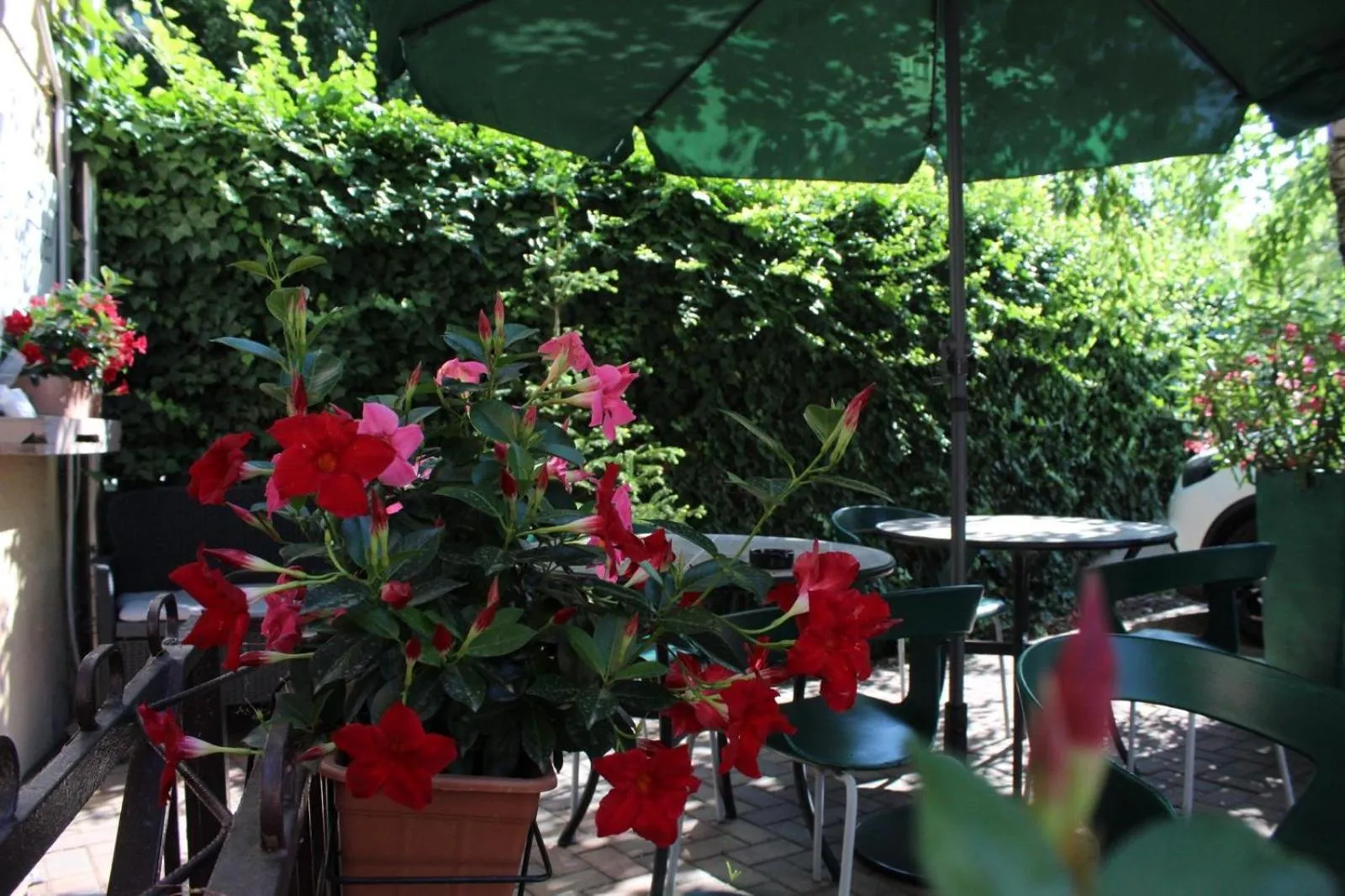 Garden in Baby Hotel