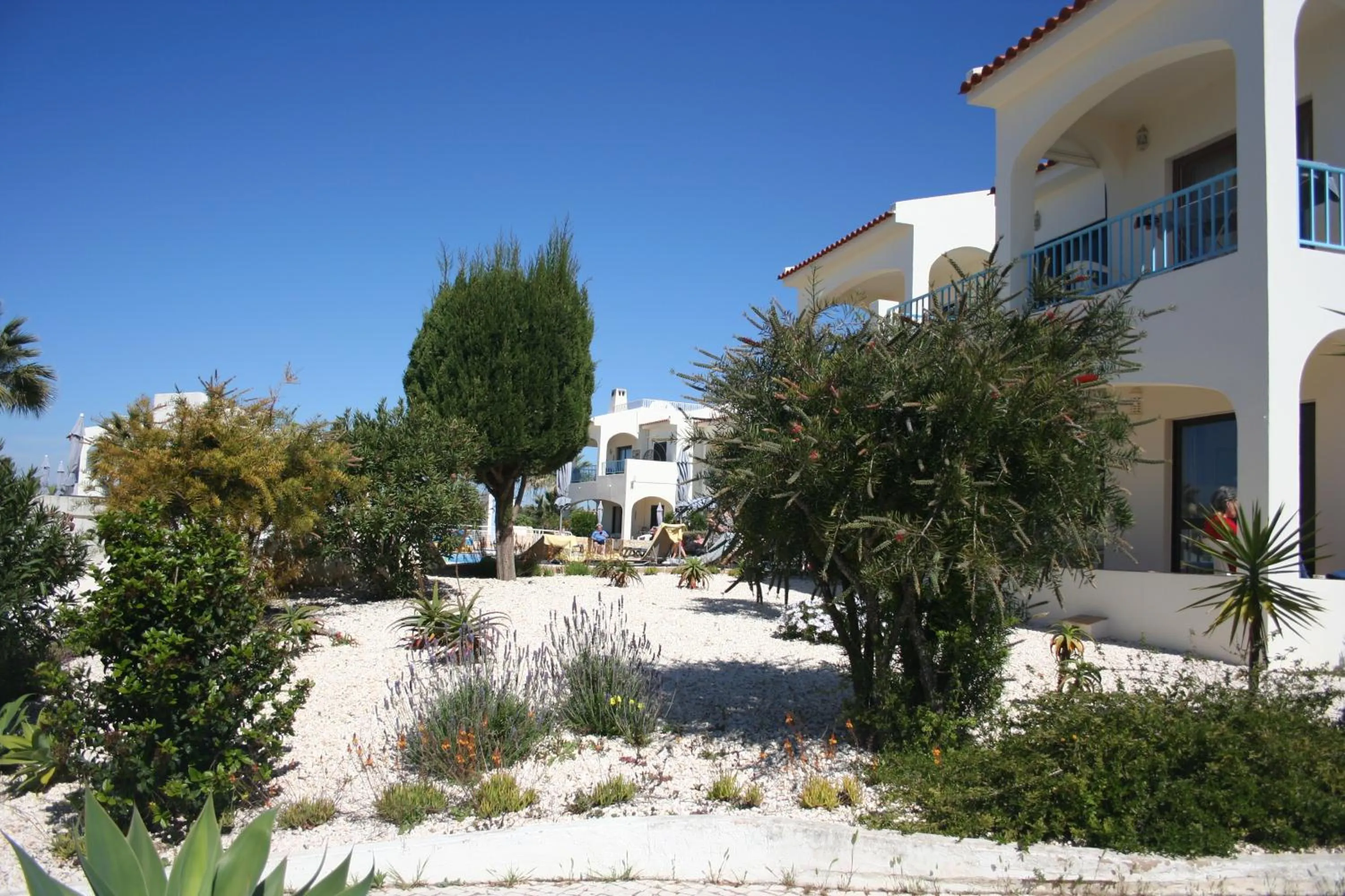 Garden in Monte Dourado