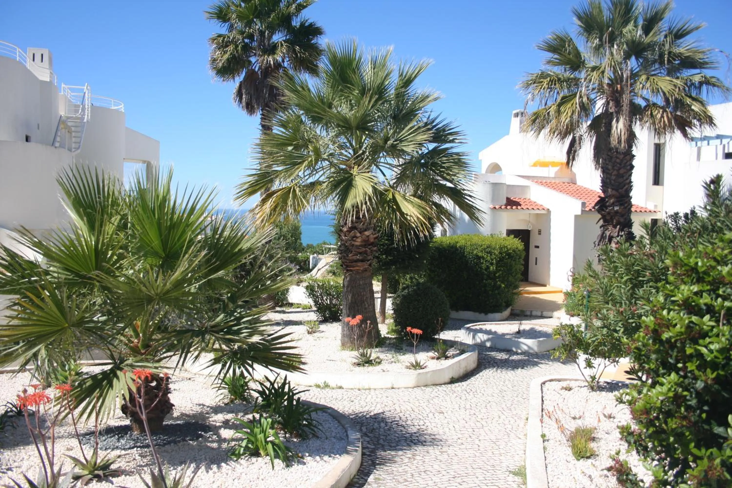 Garden in Monte Dourado