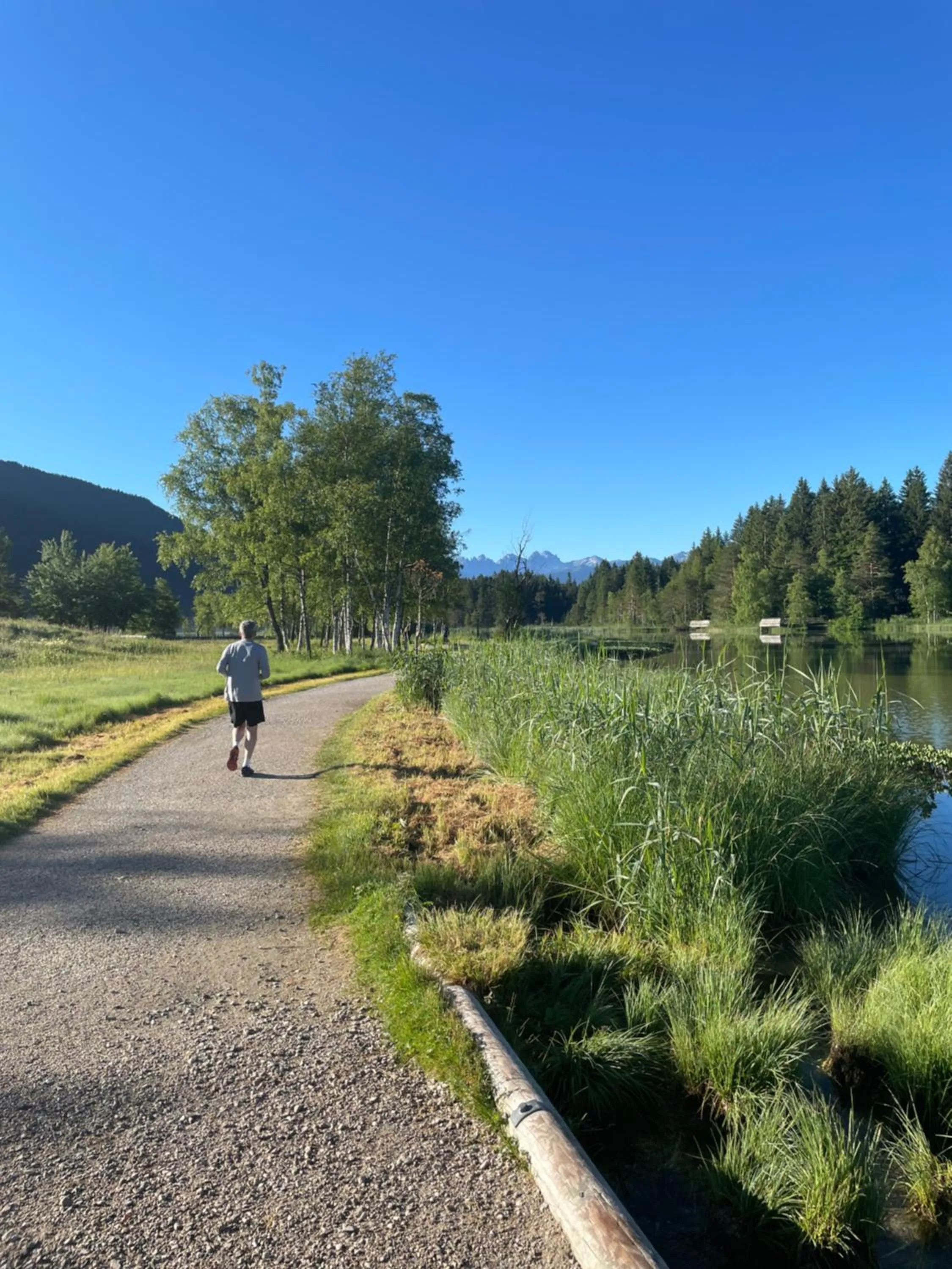 Natural landscape in LakeSide Apartments Seefeld