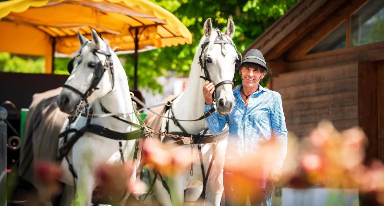 Activities in LakeSide Apartments Seefeld