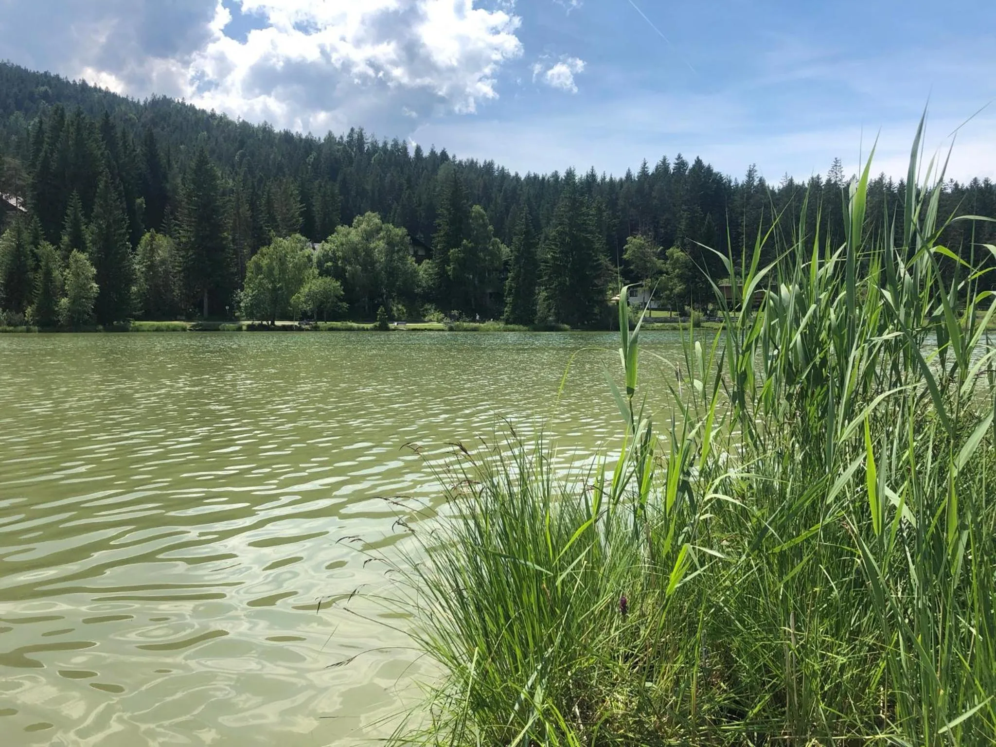 Natural landscape in LakeSide Apartments Seefeld