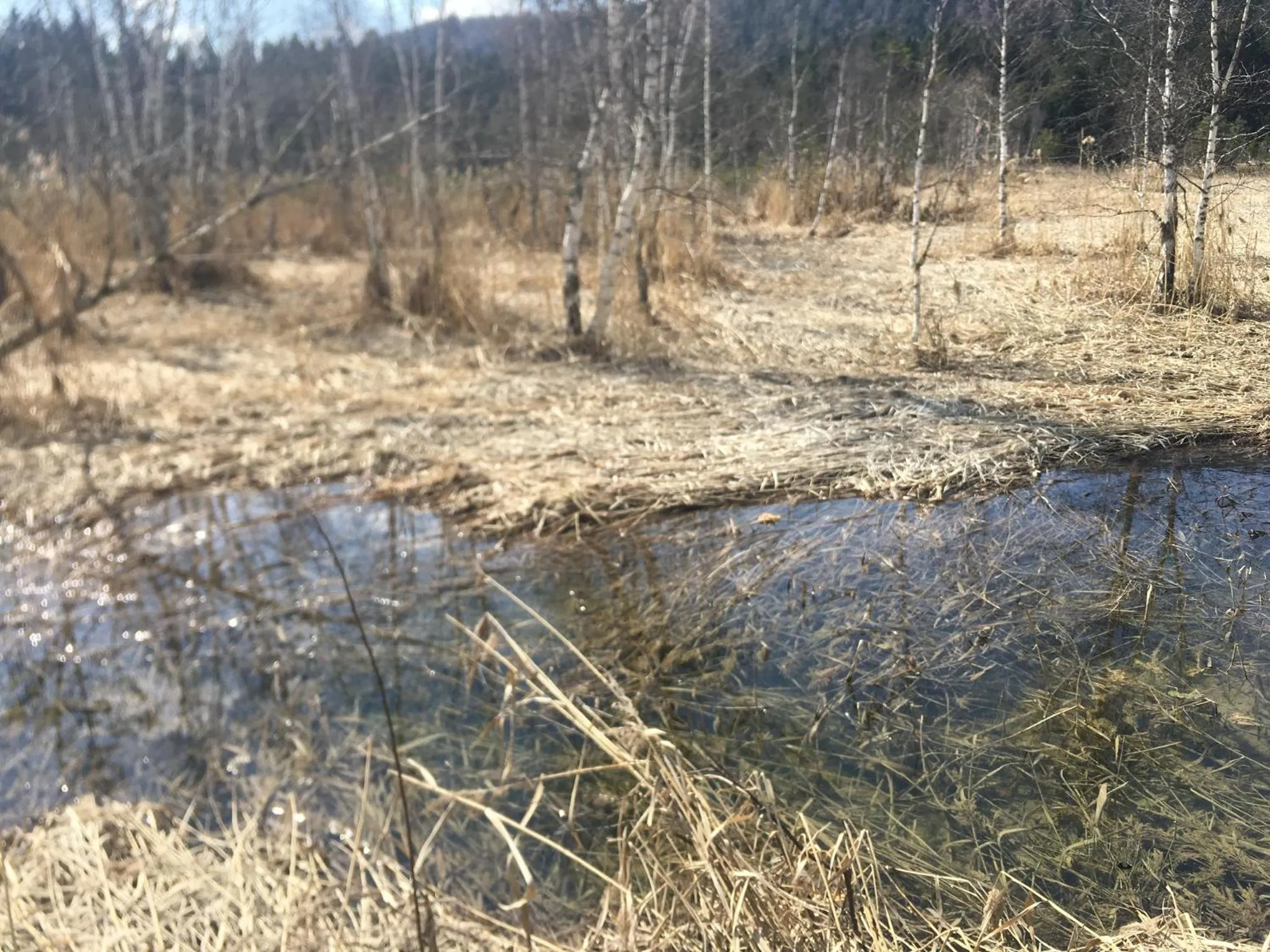 Lake view in LakeSide Apartments Seefeld