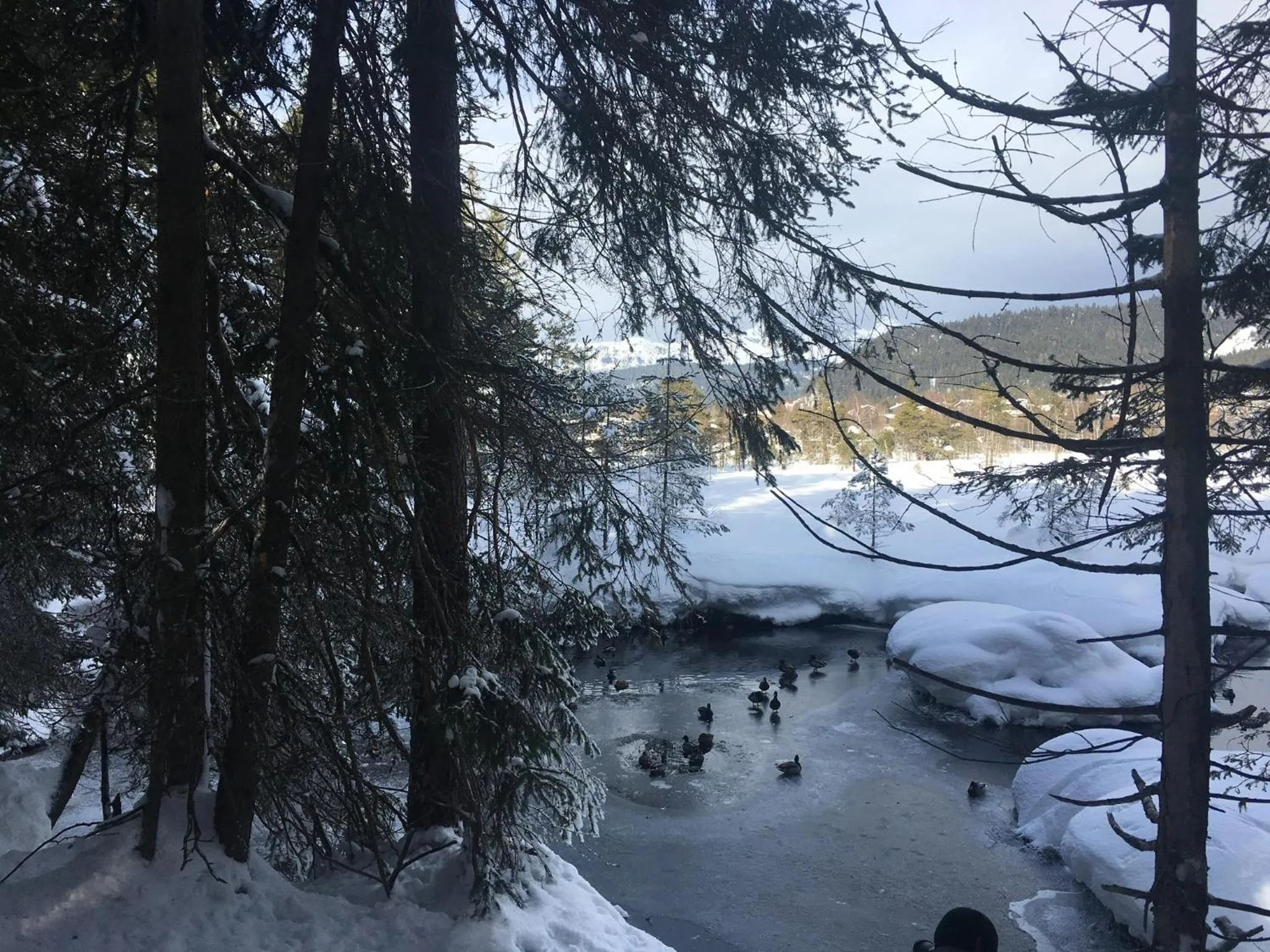 Winter in LakeSide Apartments Seefeld