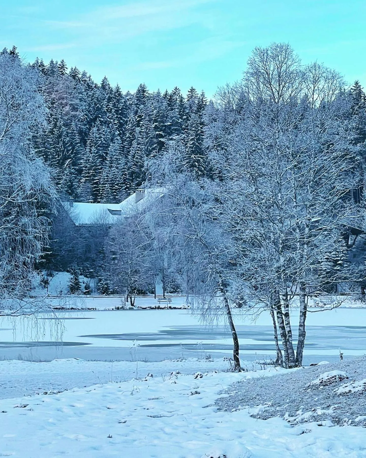 Natural landscape in LakeSide Apartments Seefeld