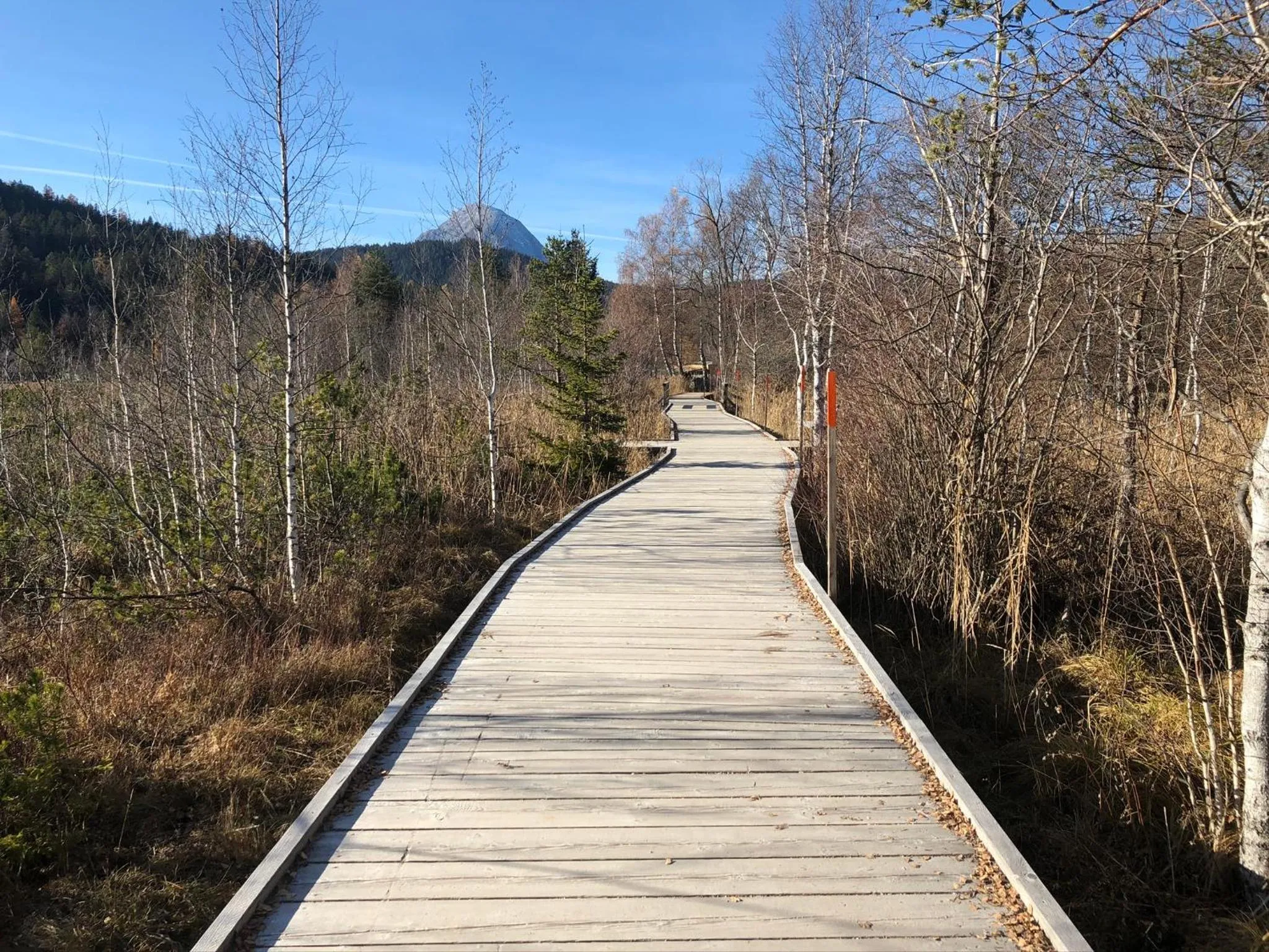 Spring in LakeSide Apartments Seefeld