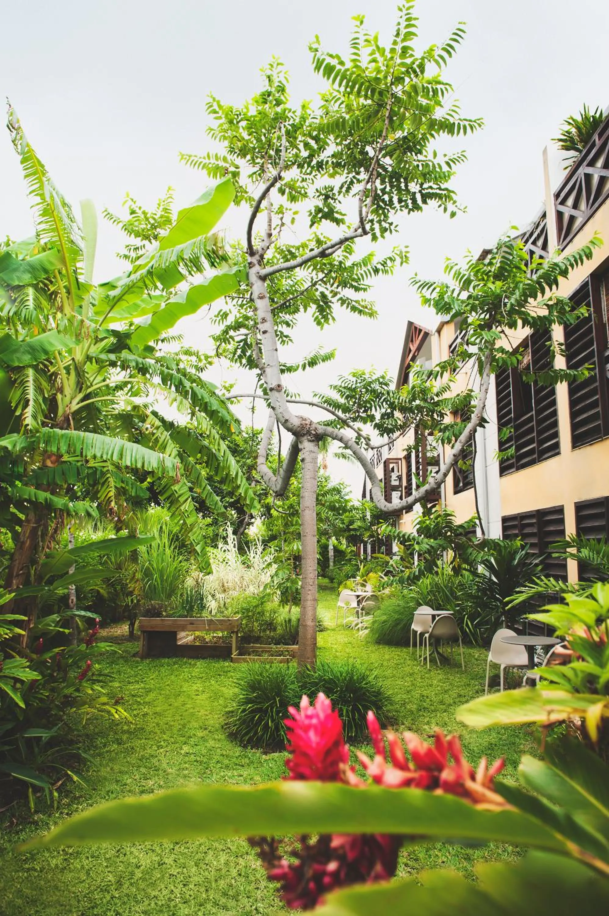 Garden in Résidence Tropic Appart Hotel