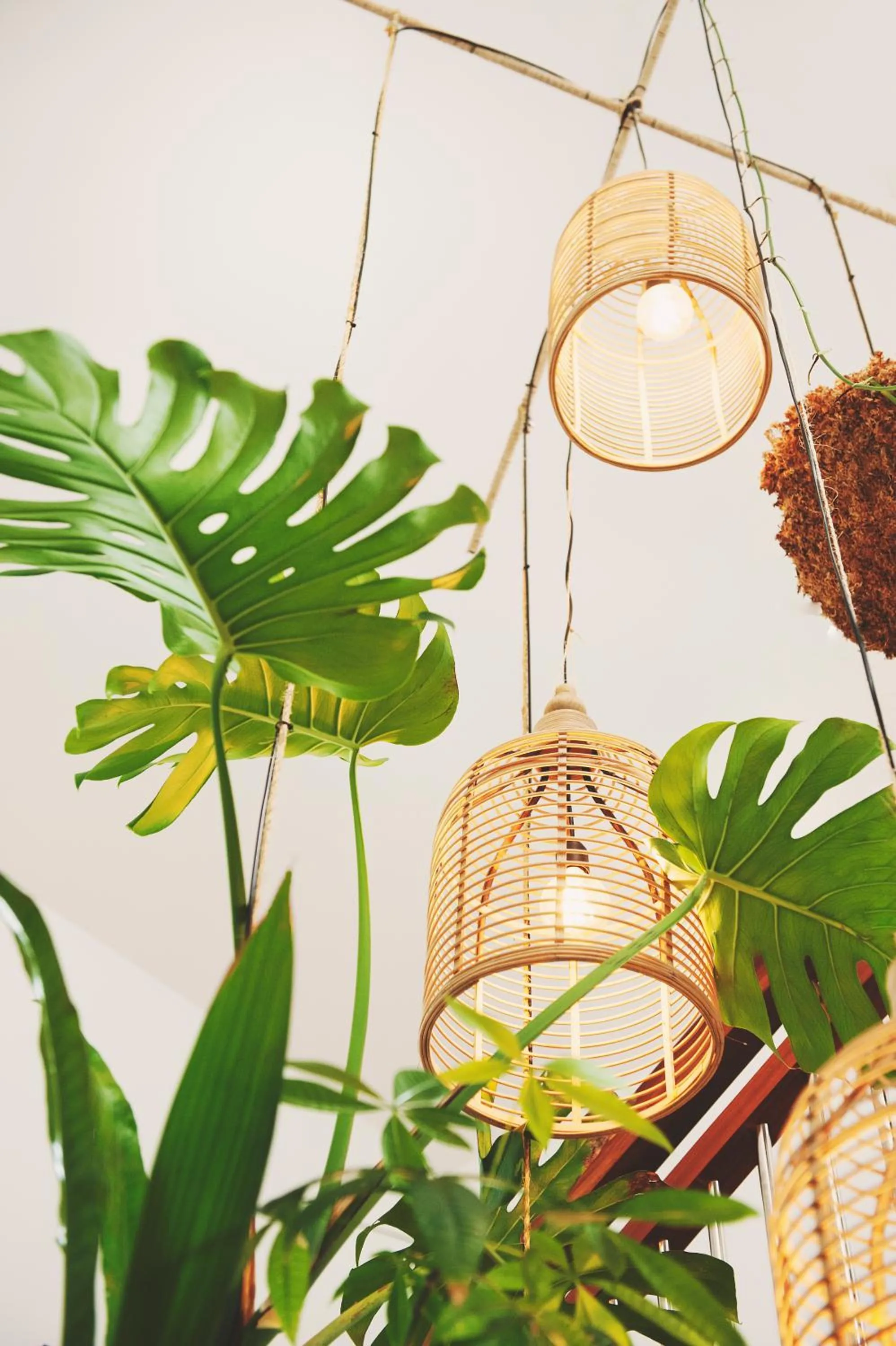 Lobby or reception in Résidence Tropic Appart Hotel