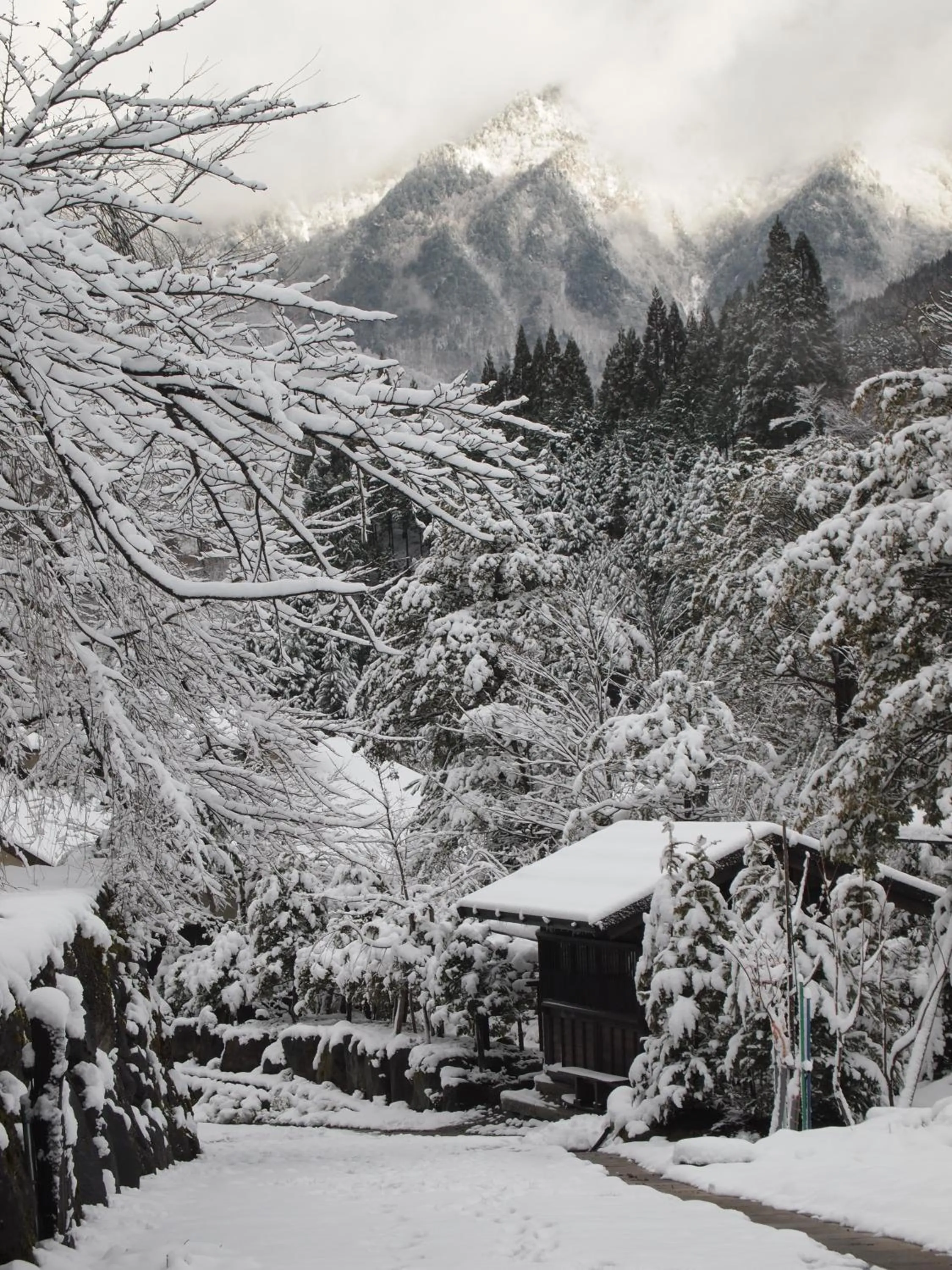 Area and facilities in Yamazatonoiori Soene