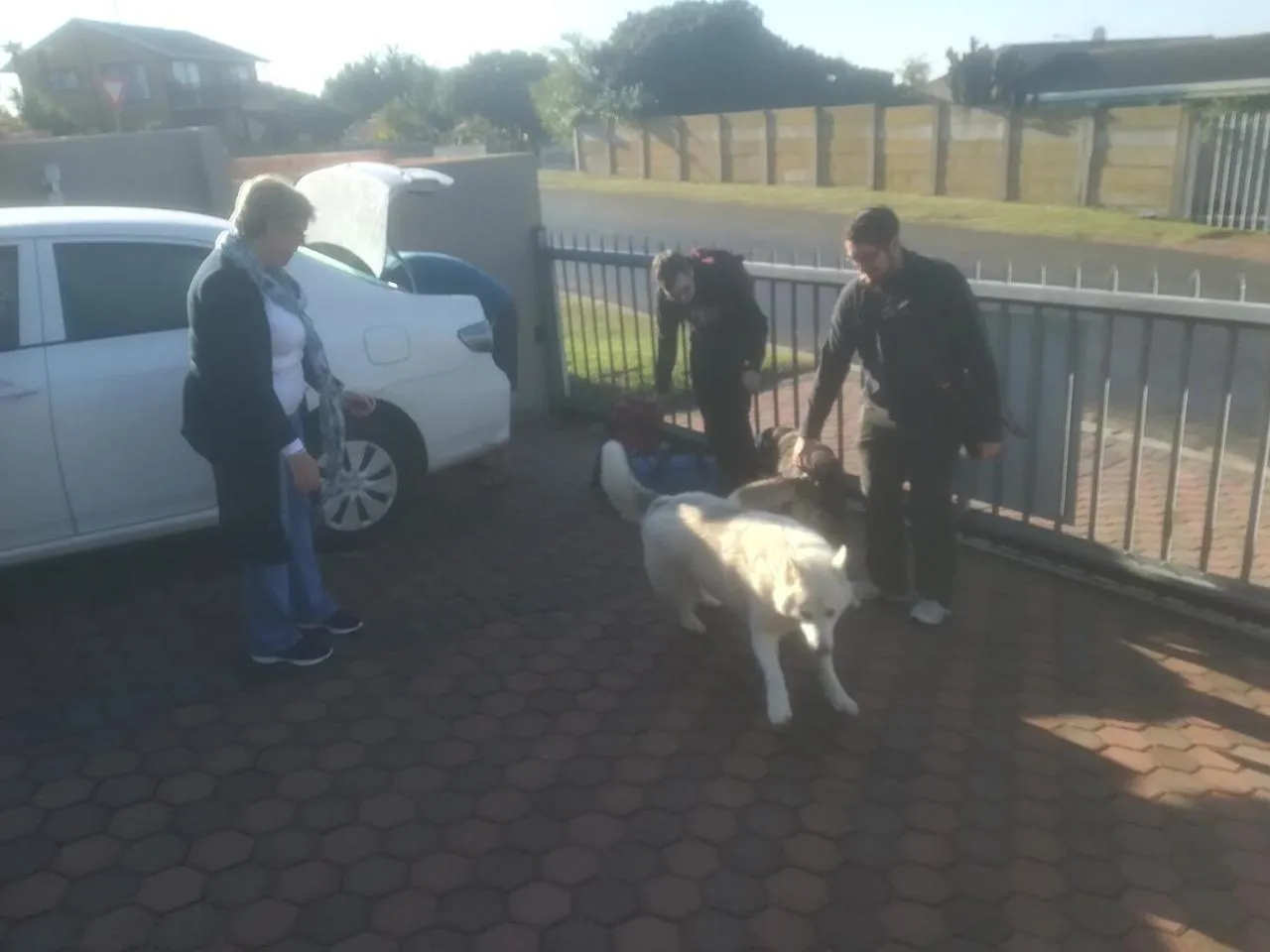 group of guests in JoJo's BnB