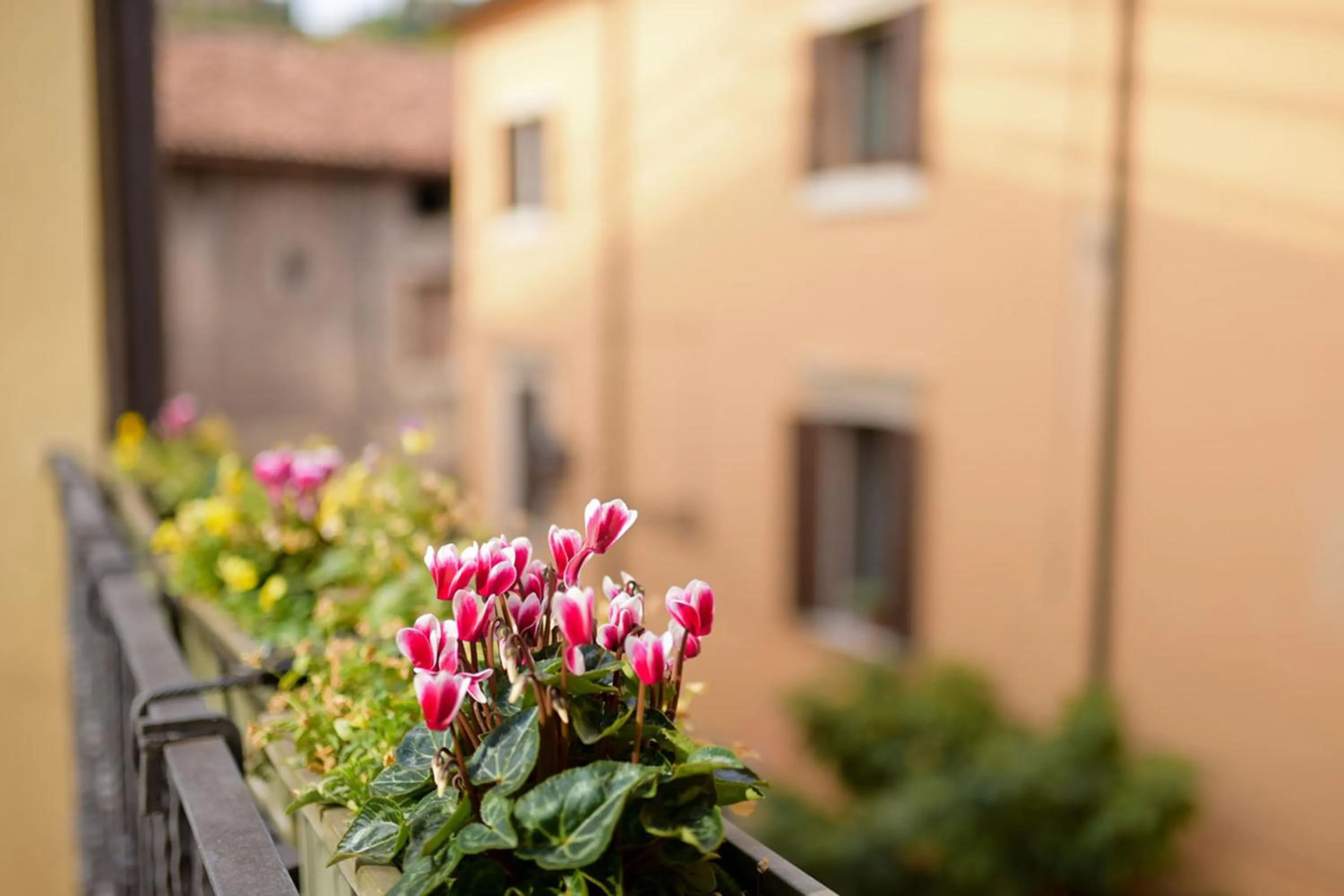 Property building in Romeo Giulietta