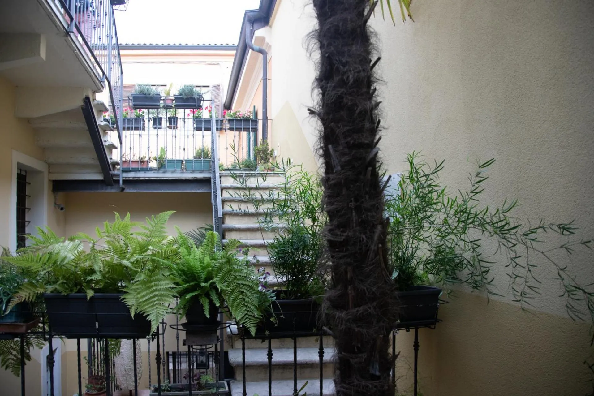 Balcony/Terrace in Romeo Giulietta