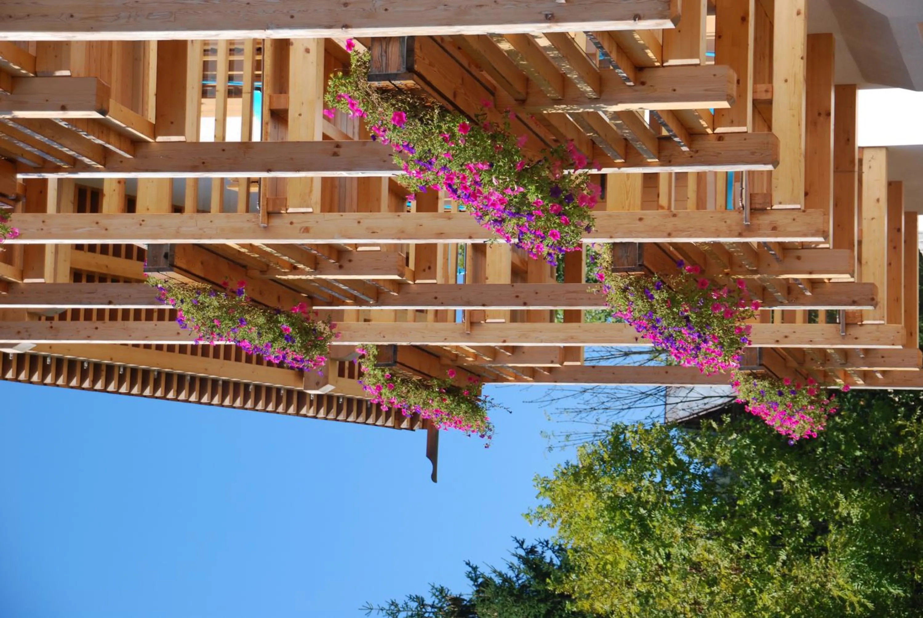 Day in Dolomiti Lodge Villa Gaia