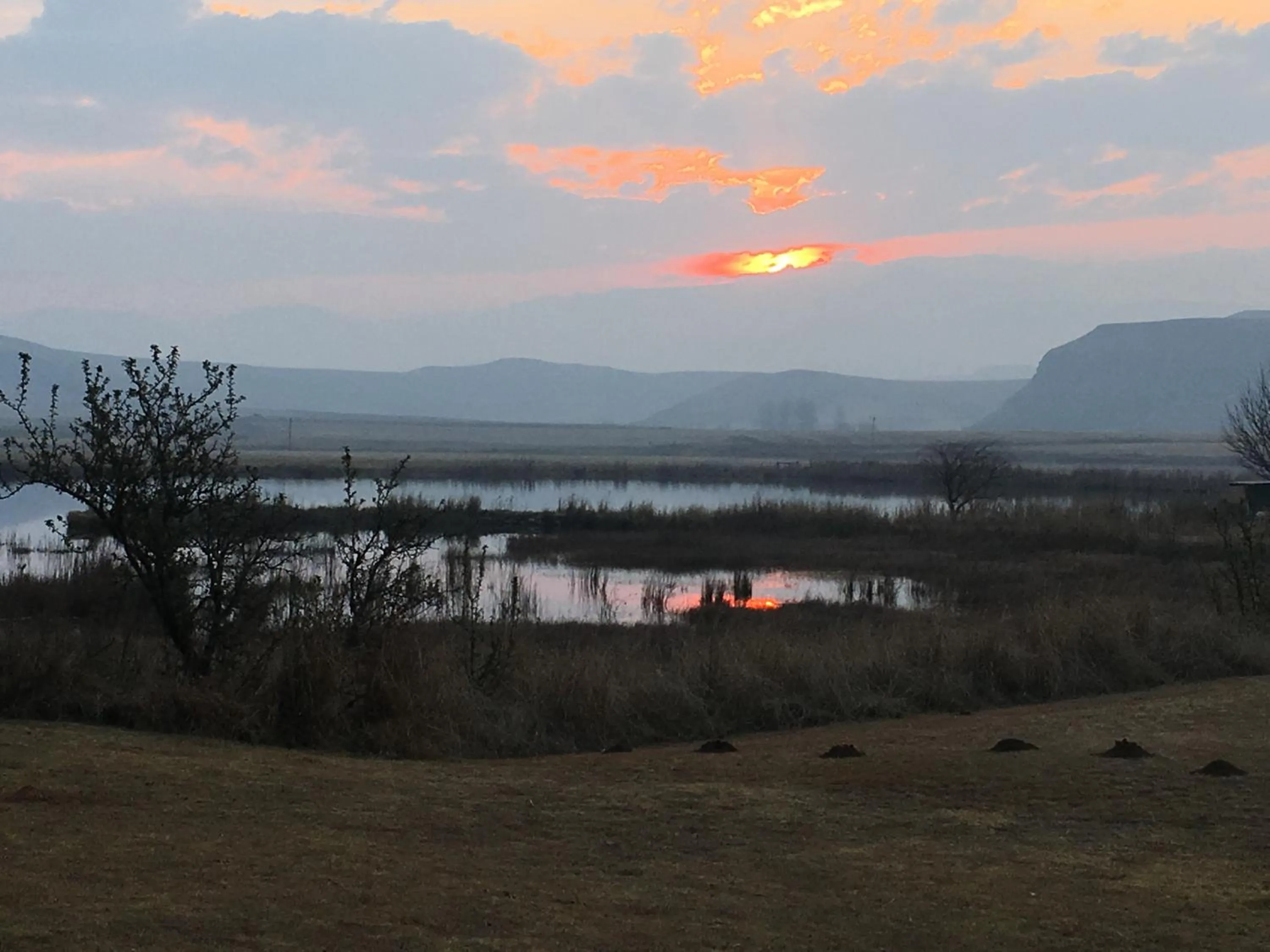 Natural landscape in Moorcroft Manor Boutique Country Hotel