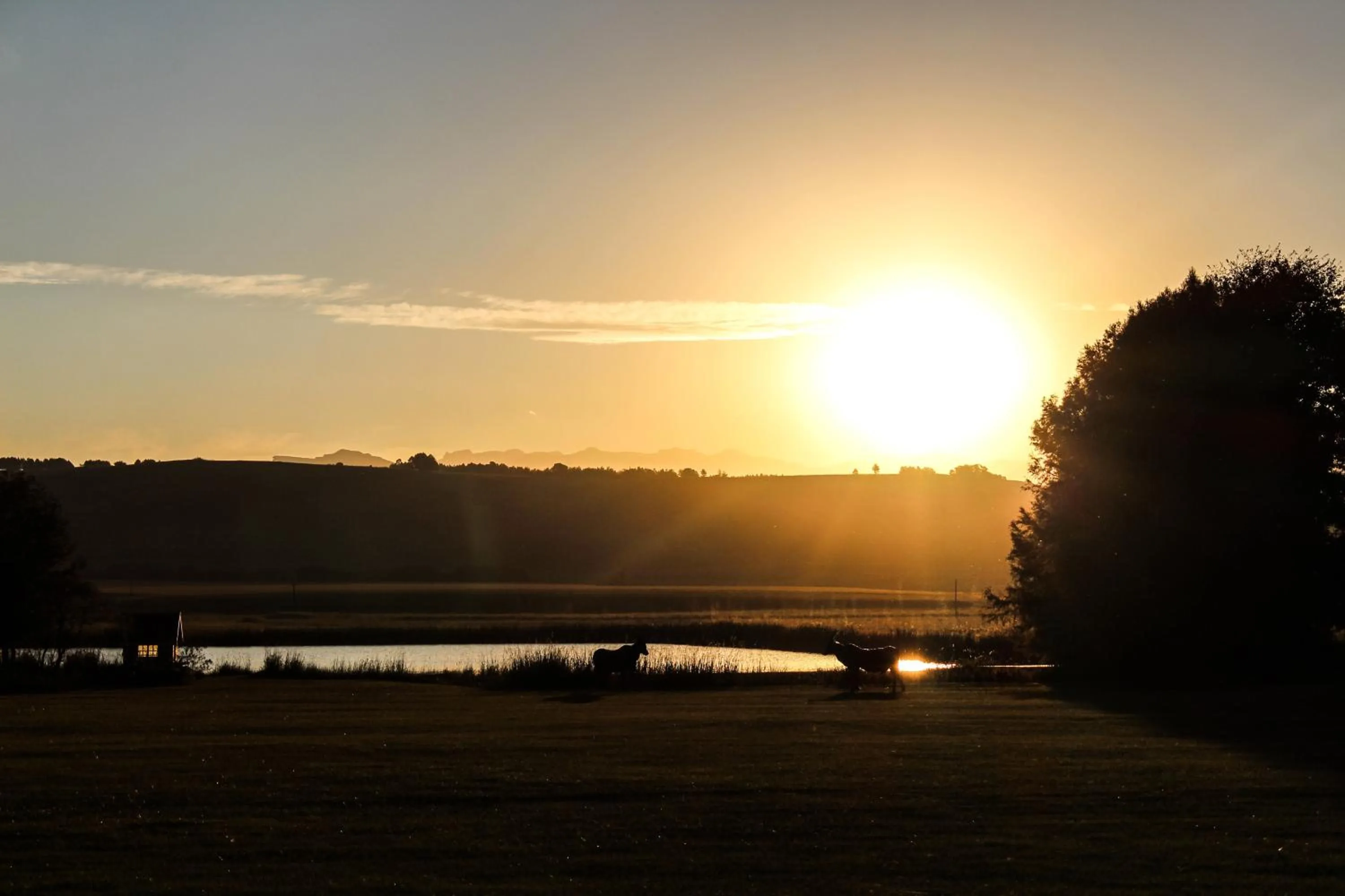 Natural landscape in Moorcroft Manor Boutique Country Hotel