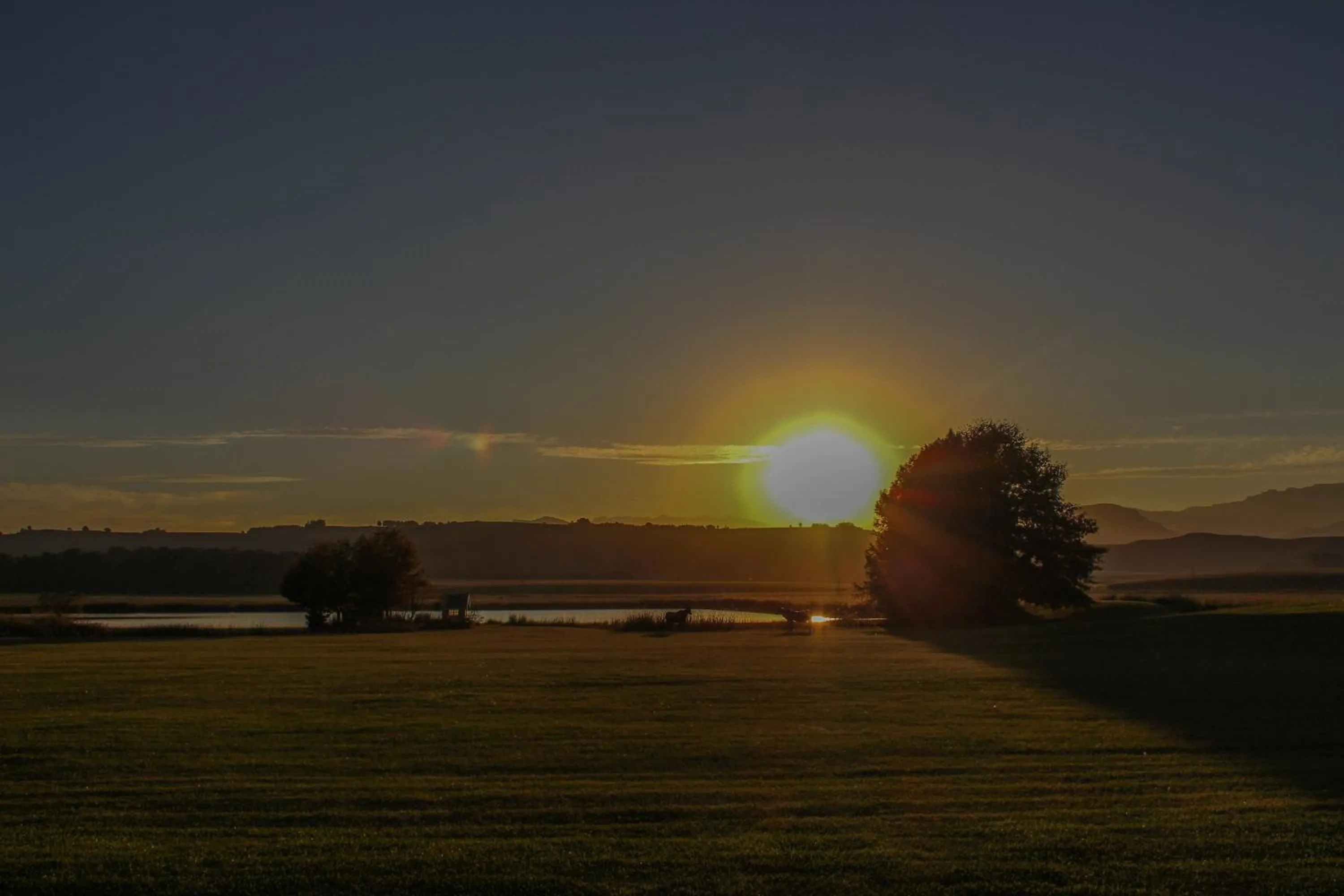 Breakfast in Moorcroft Manor Boutique Country Hotel