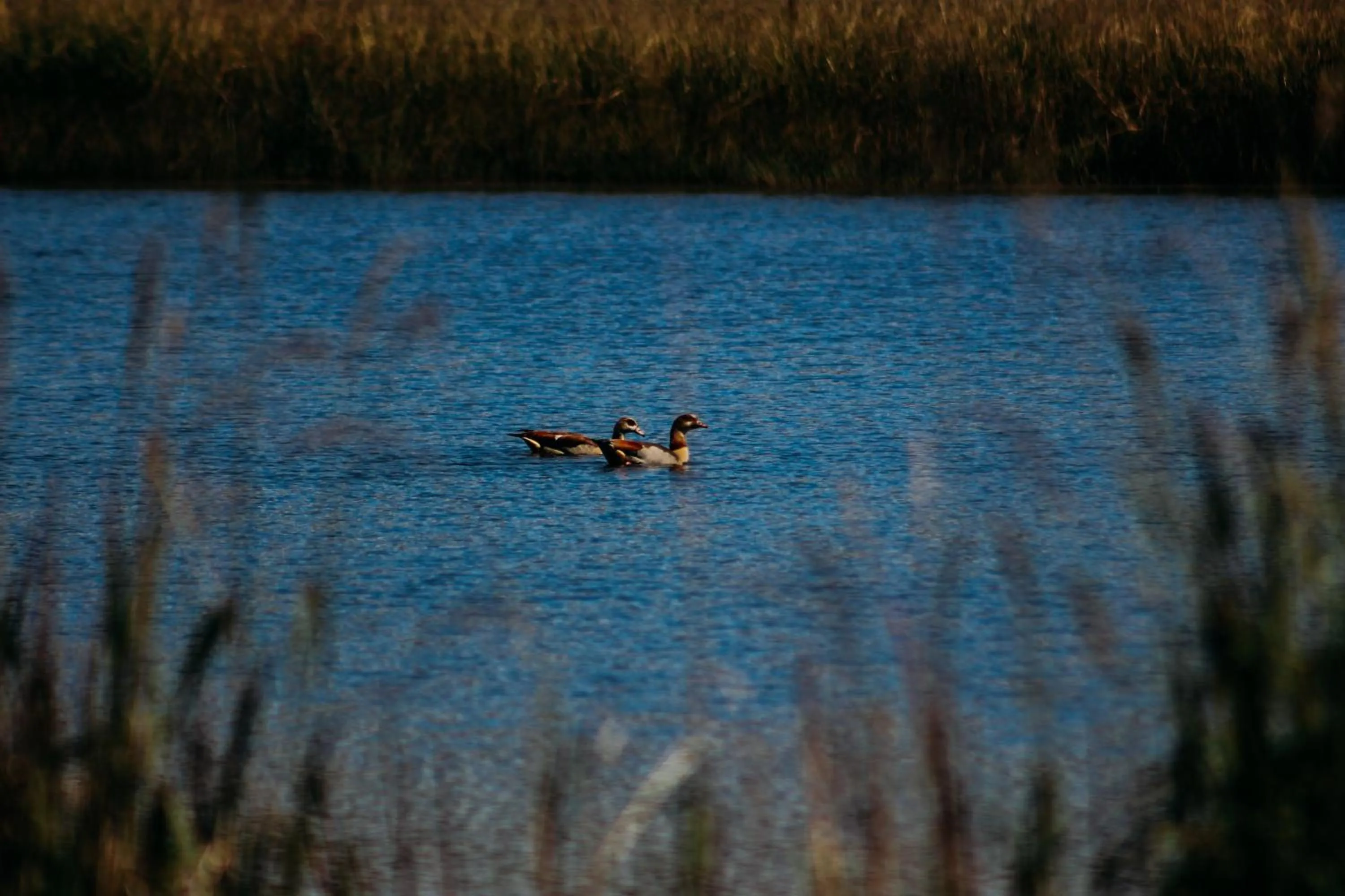 Natural landscape in Moorcroft Manor Boutique Country Hotel