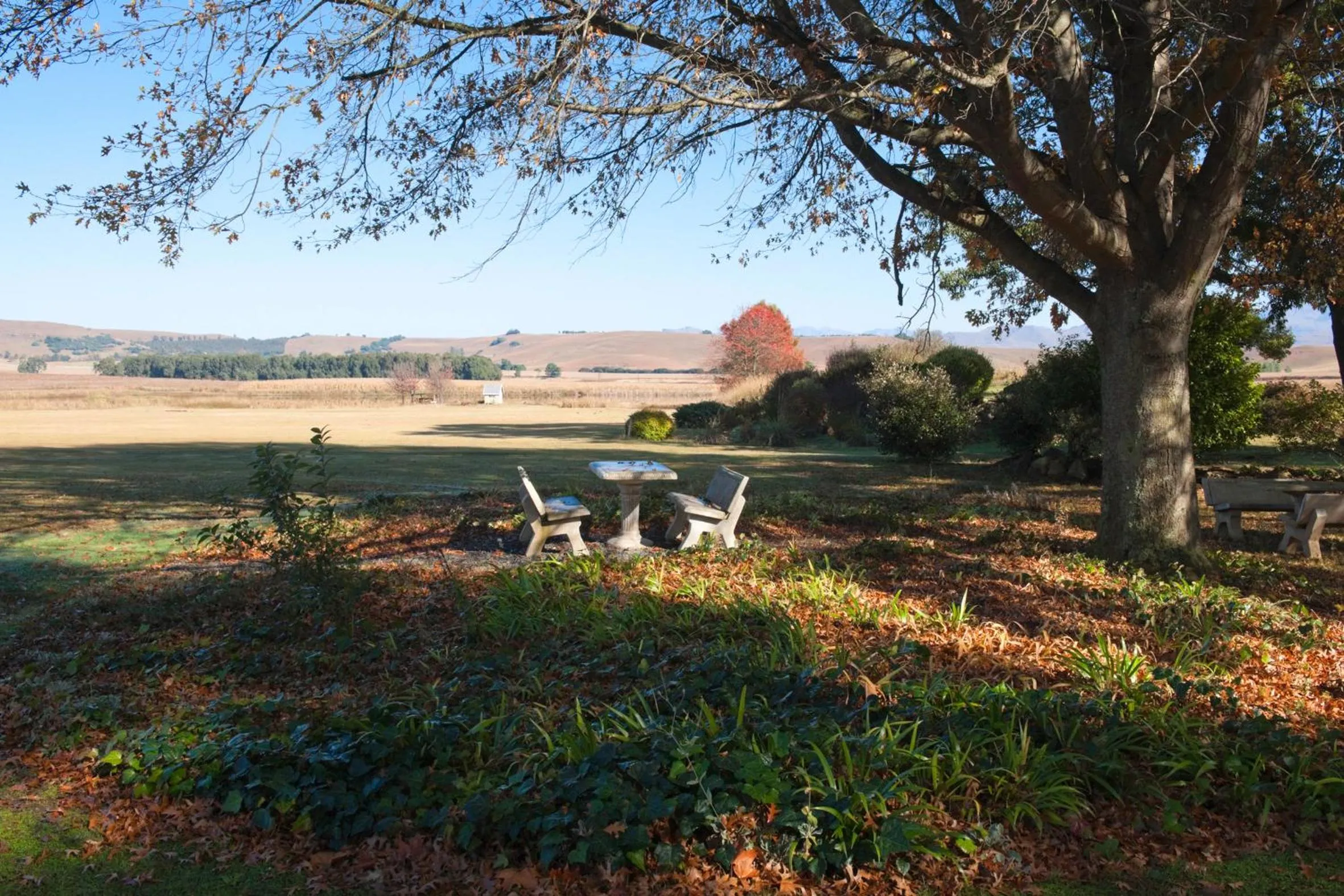 Natural landscape in Moorcroft Manor Boutique Country Hotel