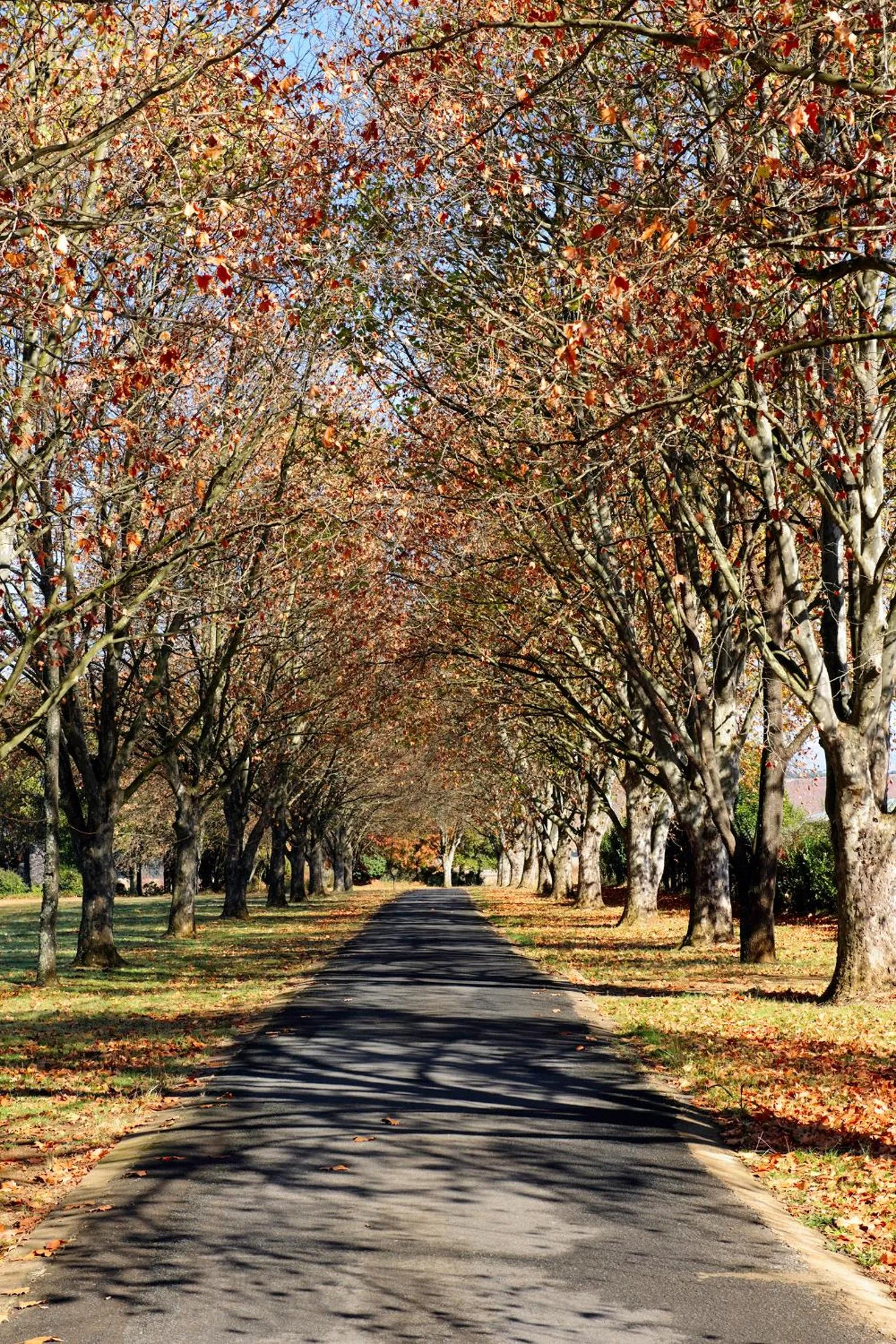 Garden in Moorcroft Manor Boutique Country Hotel