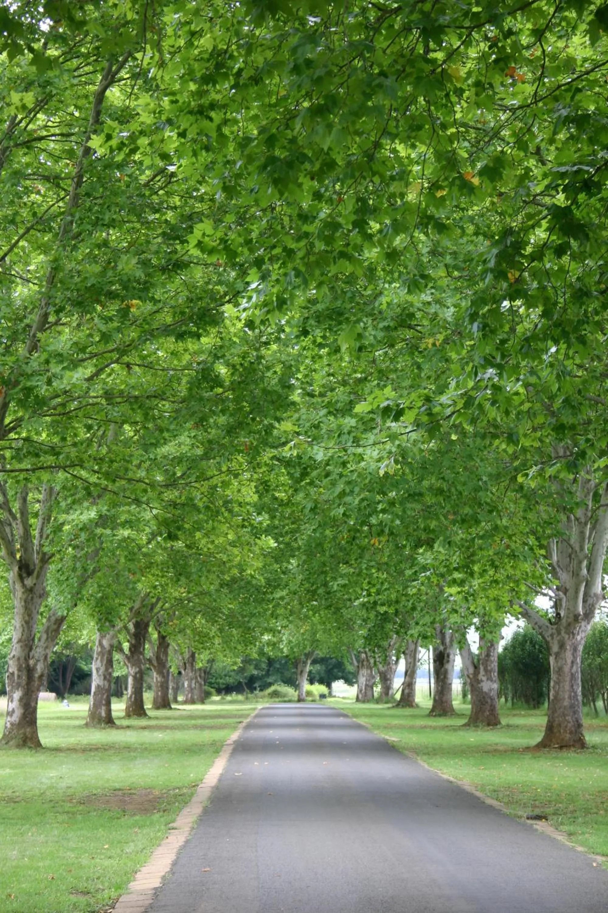 Other in Moorcroft Manor Boutique Country Hotel