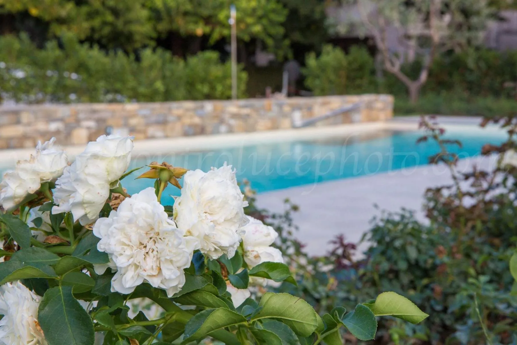 Swimming pool in Albergo Stella